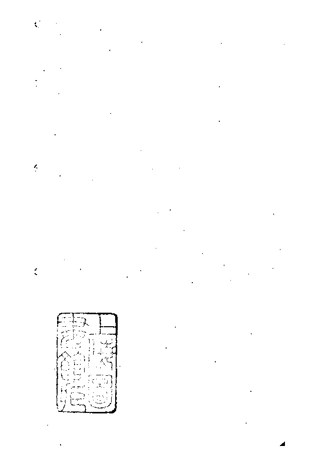 家谱第一张图片