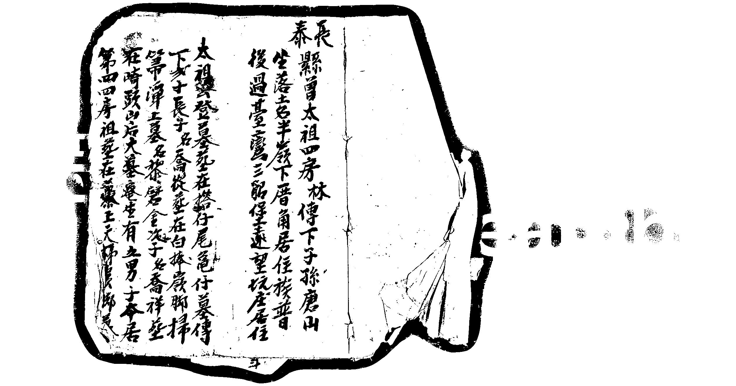 家谱第一张图片