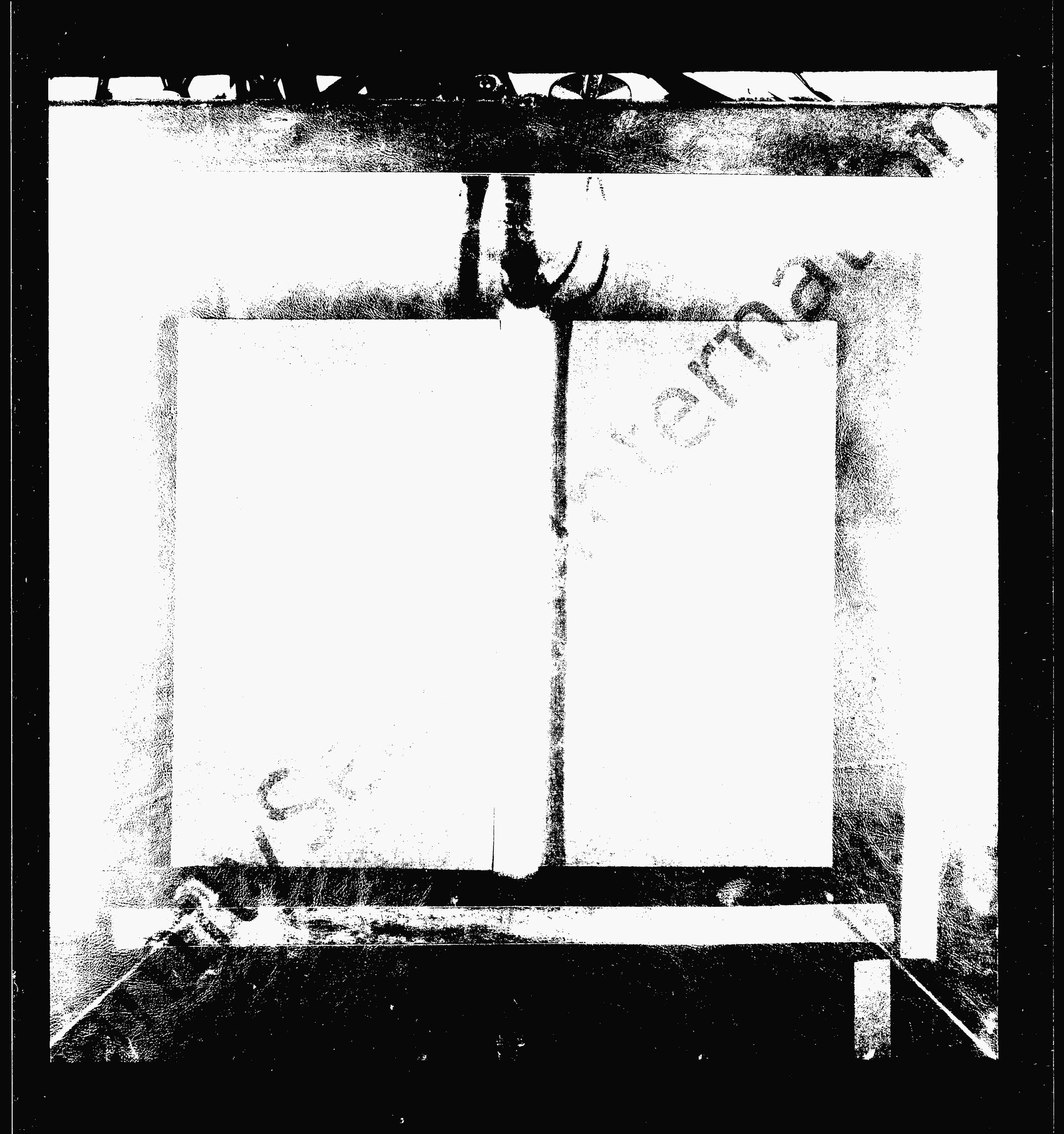 家谱第一张图片