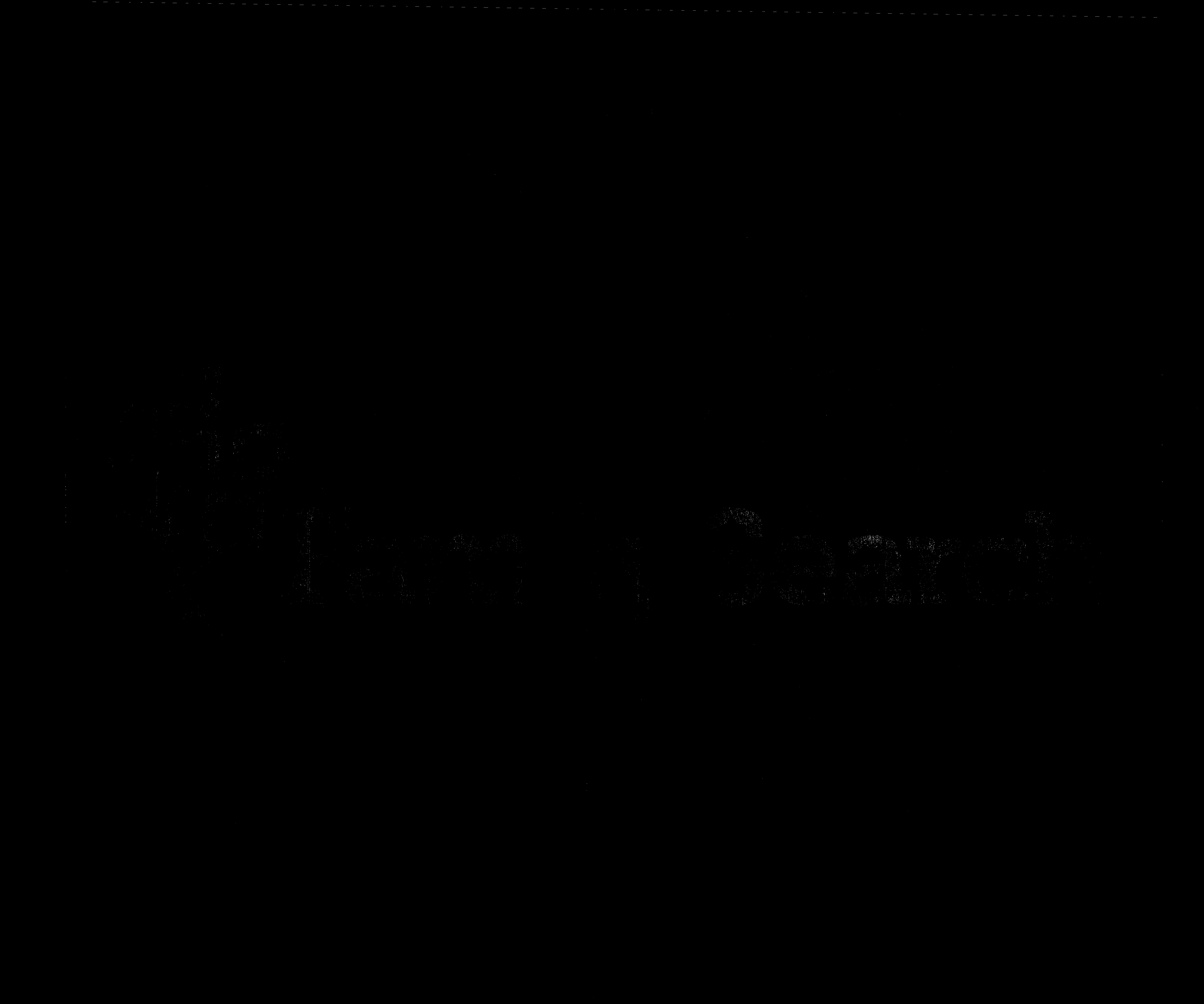 家谱第一张图片