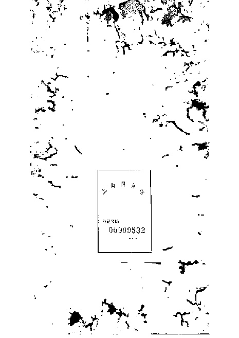 家谱第一张图片