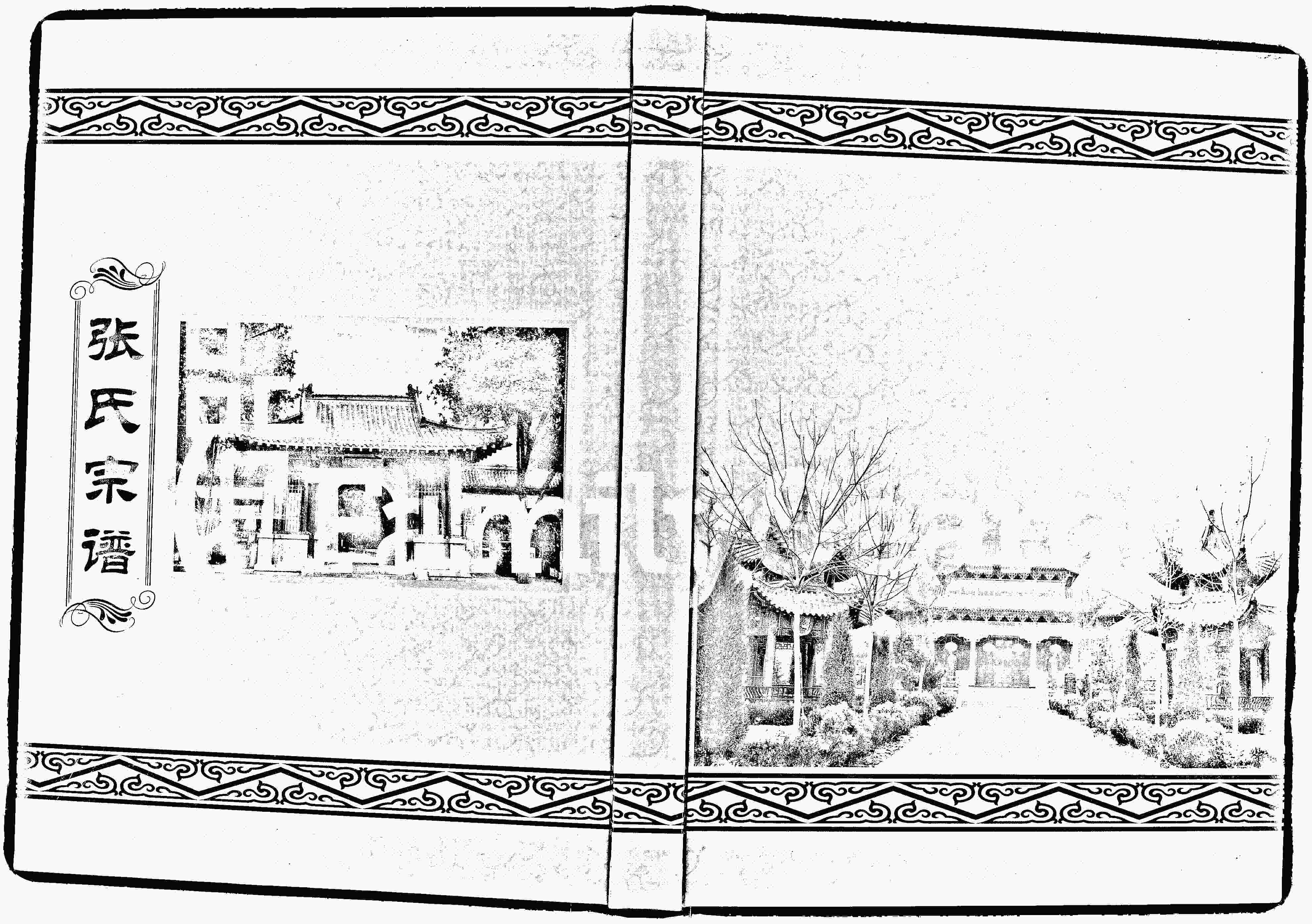 家谱第一张图片