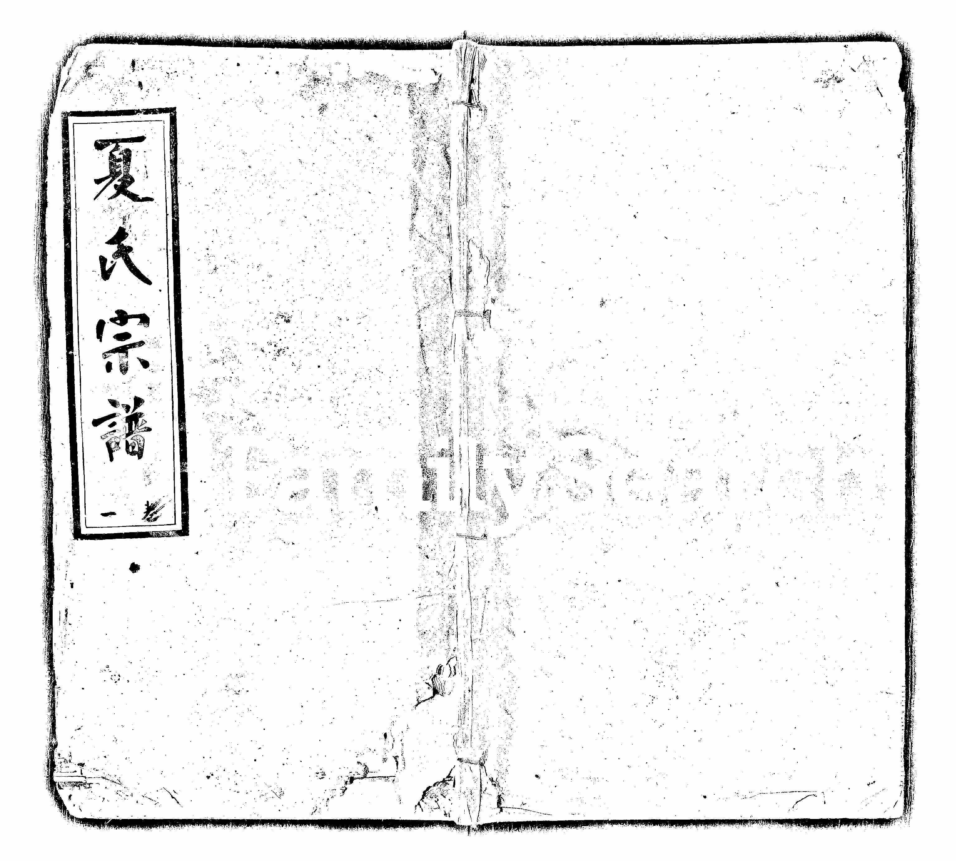 家谱第一张图片