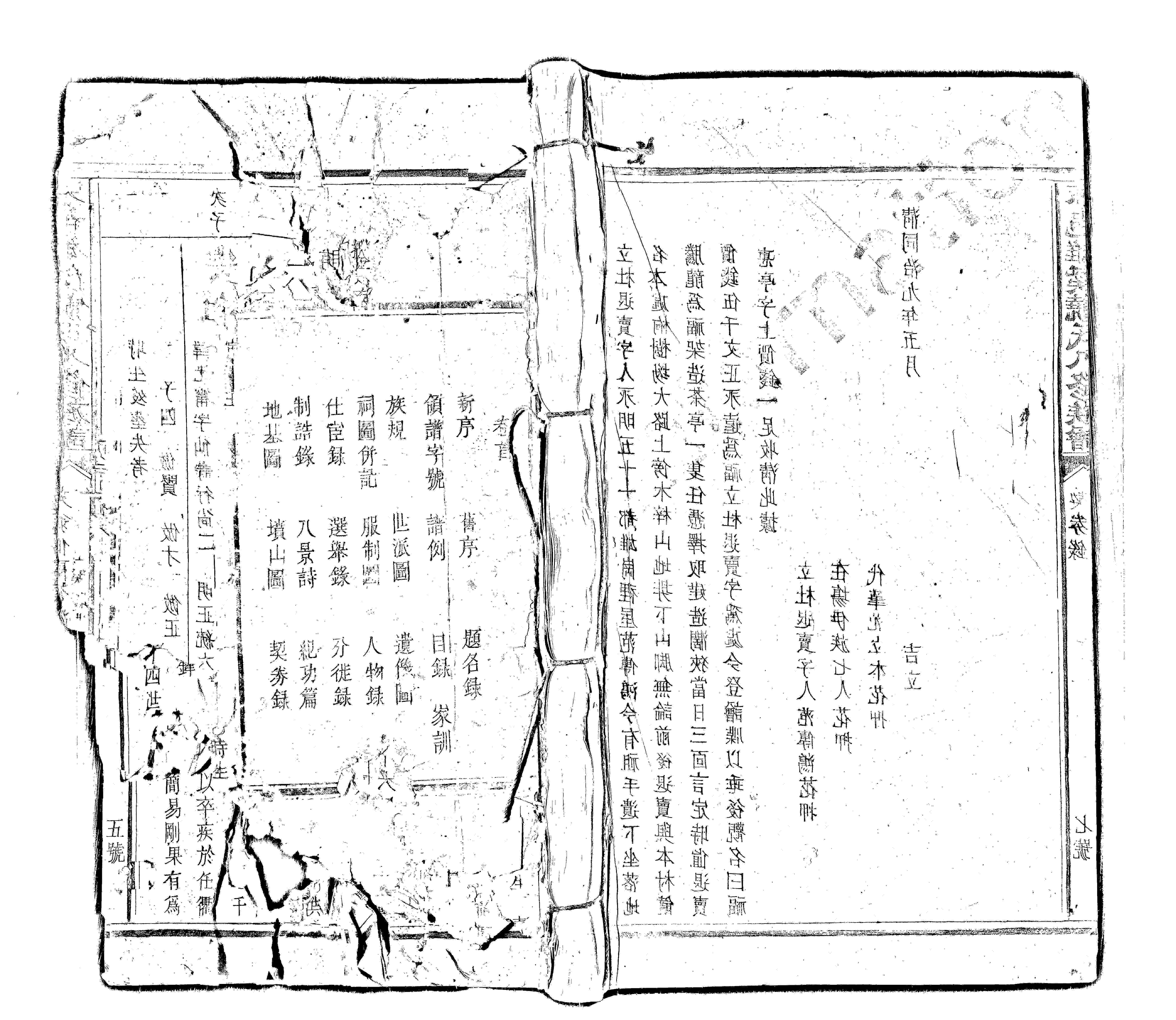 家谱第一张图片