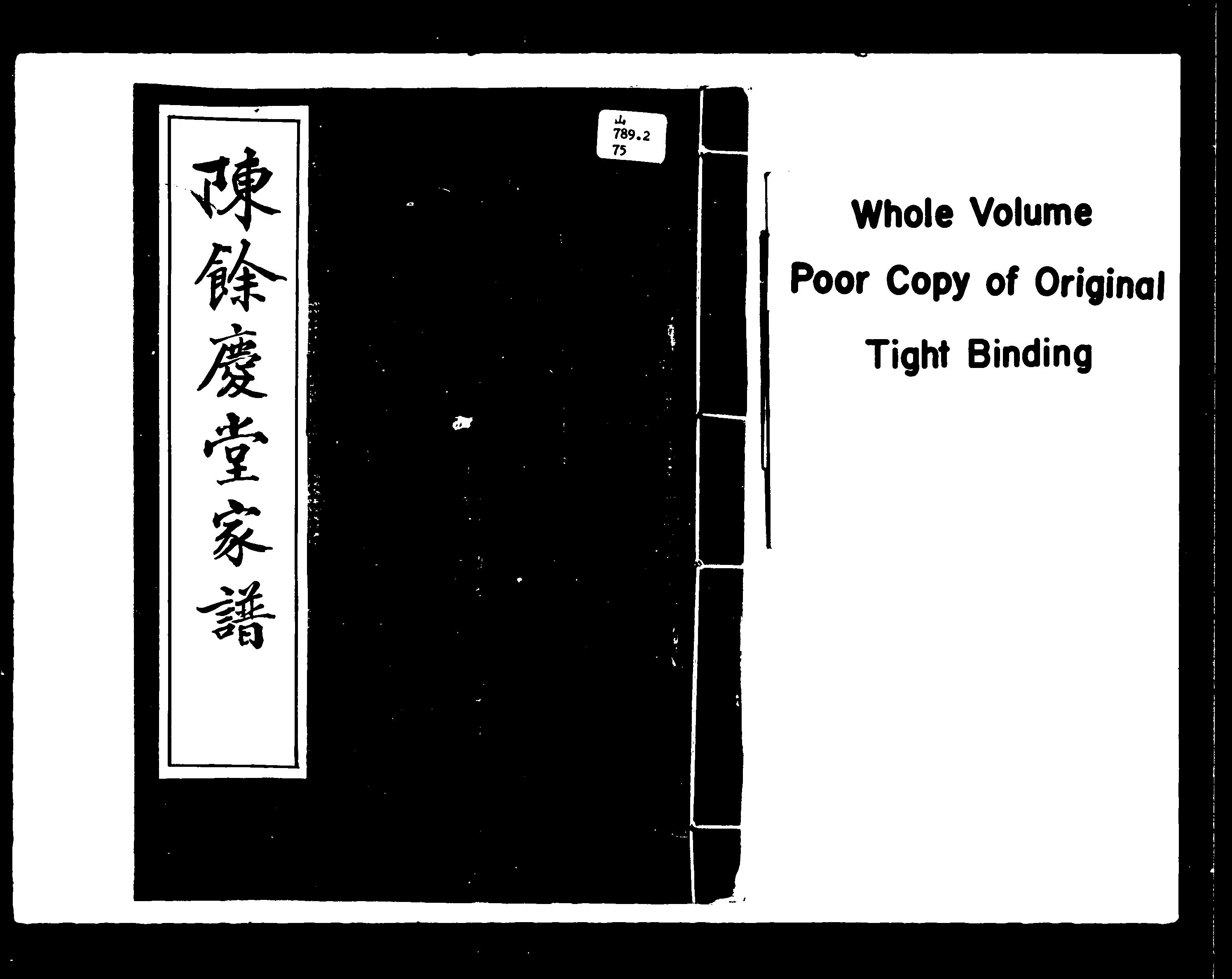 家谱第一张图片