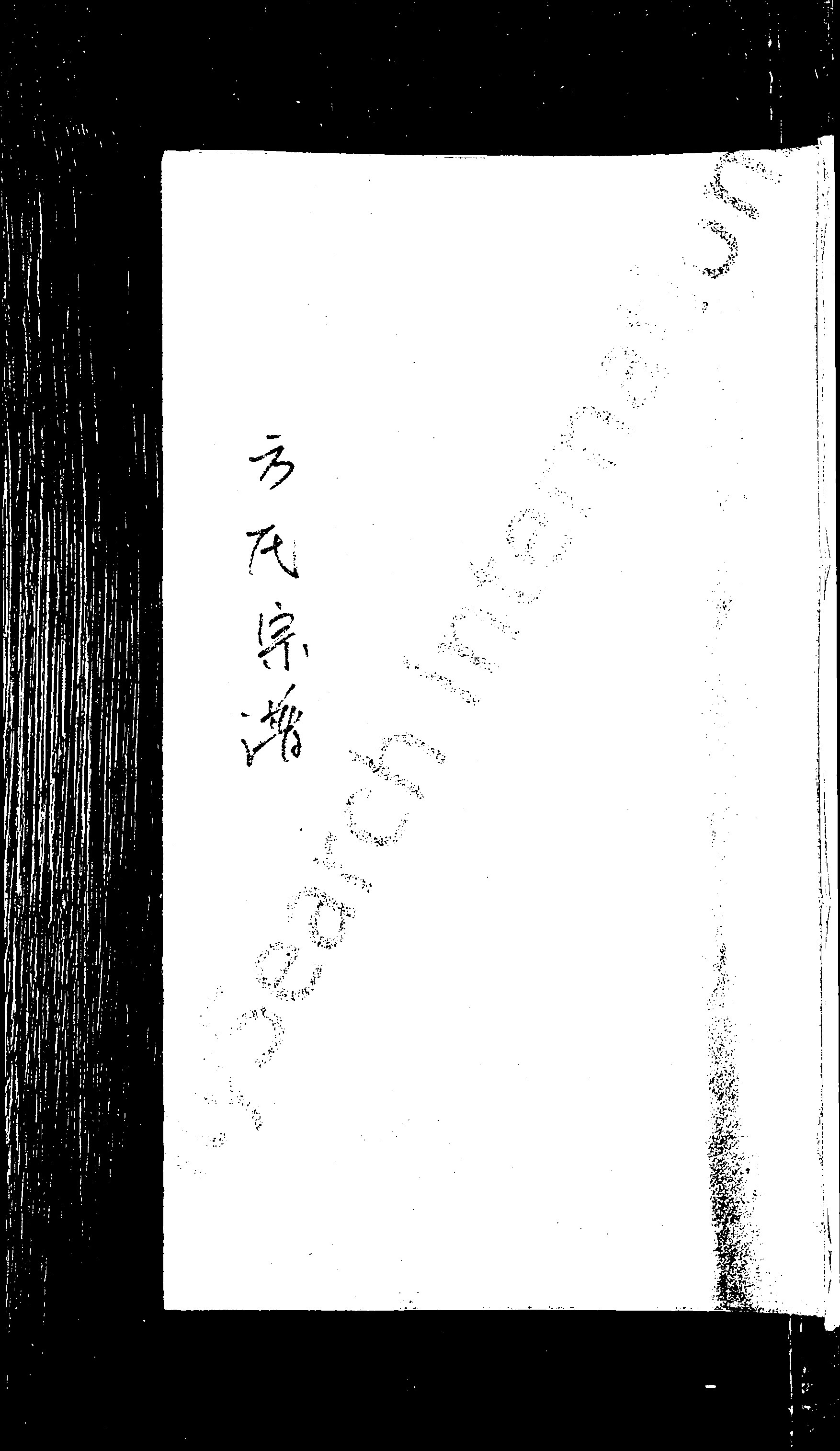 家谱第一张图片