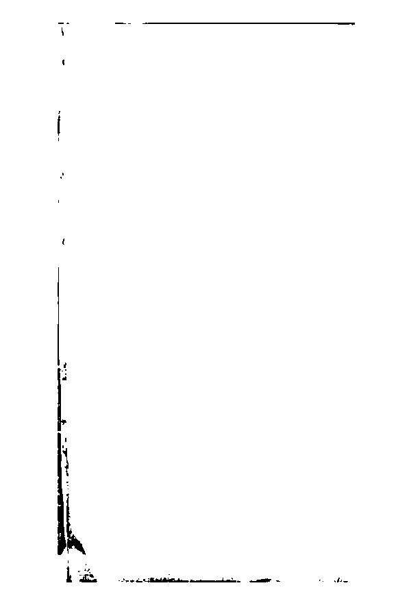 家谱第一张图片