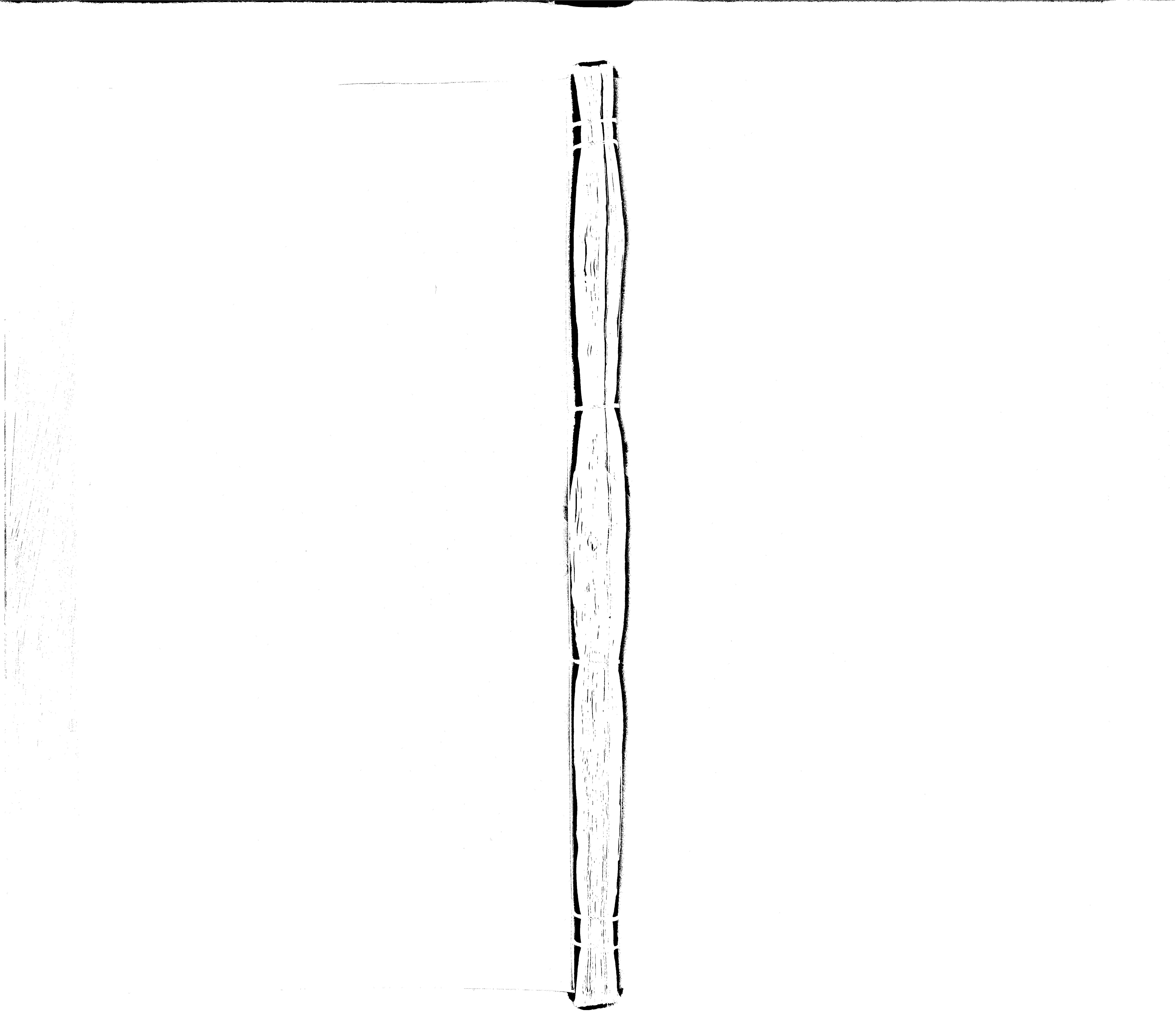 家谱第一张图片