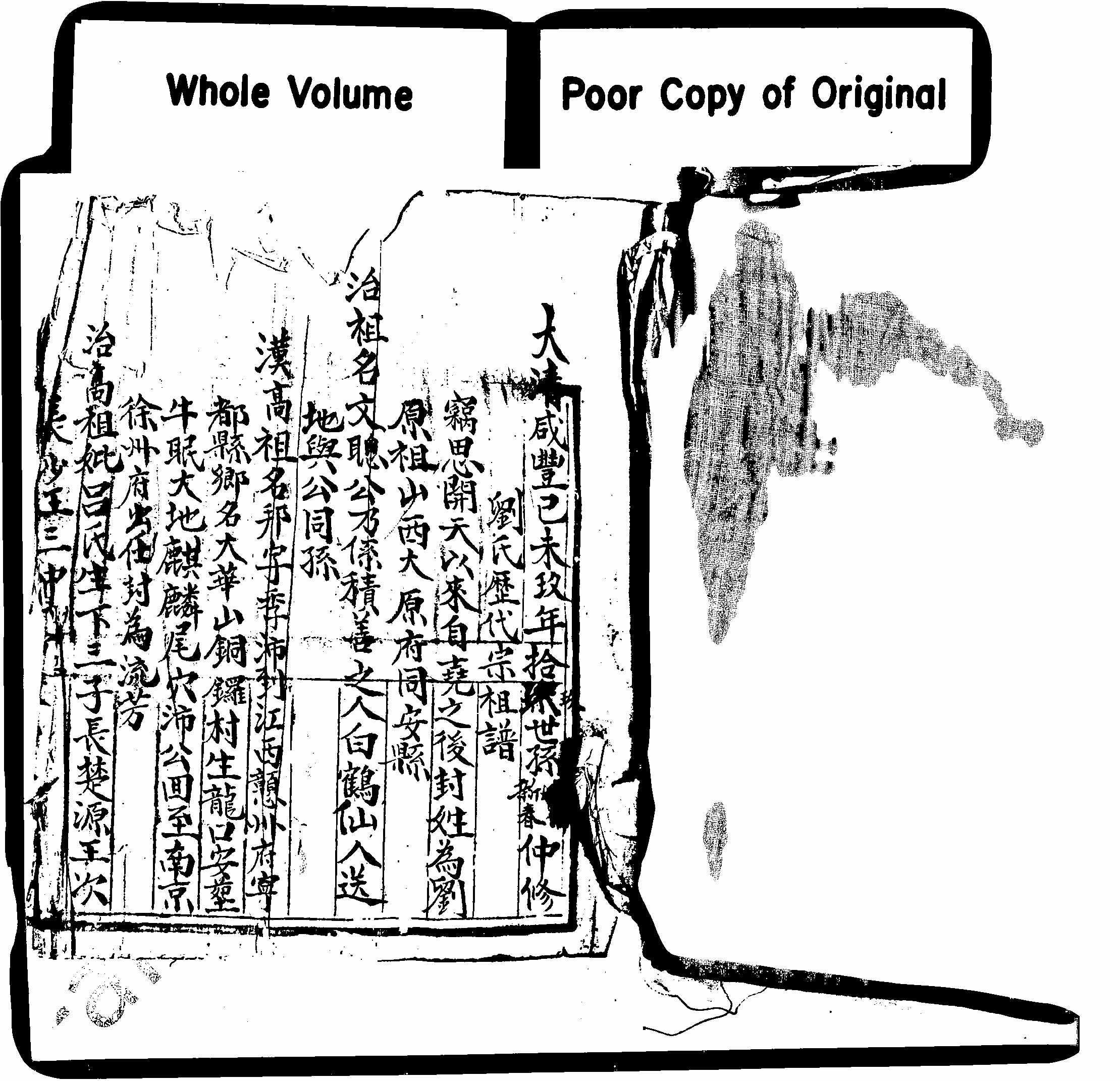 家谱第一张图片