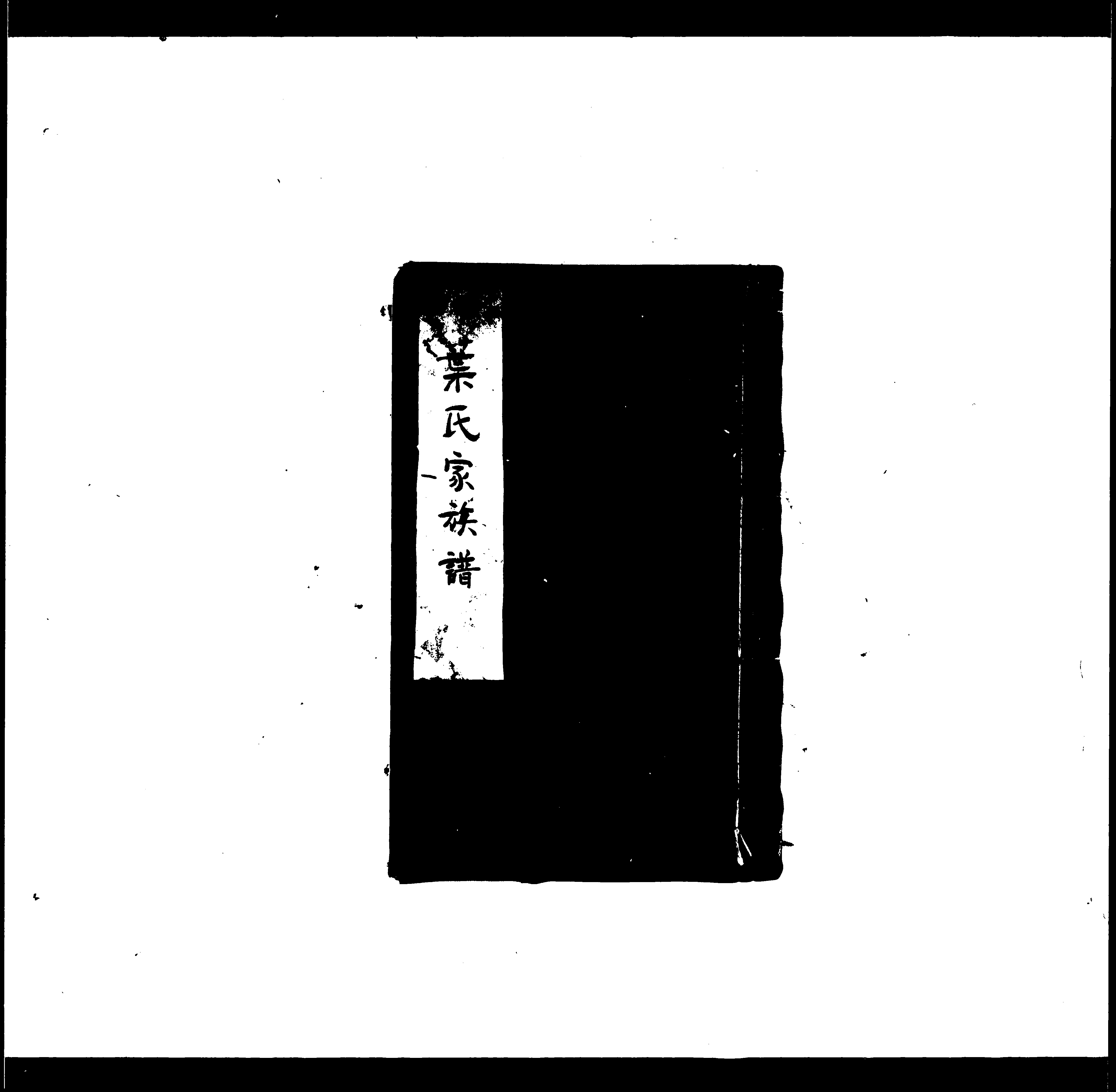 家谱第一张图片