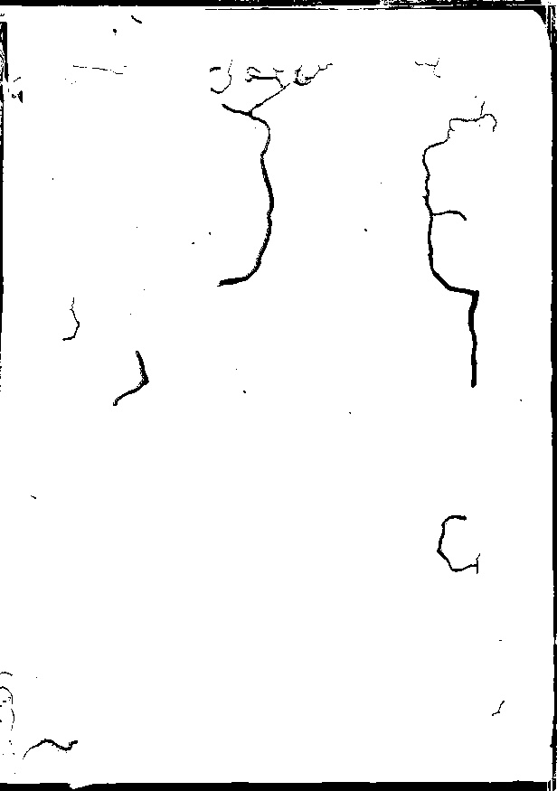 家谱第一张图片