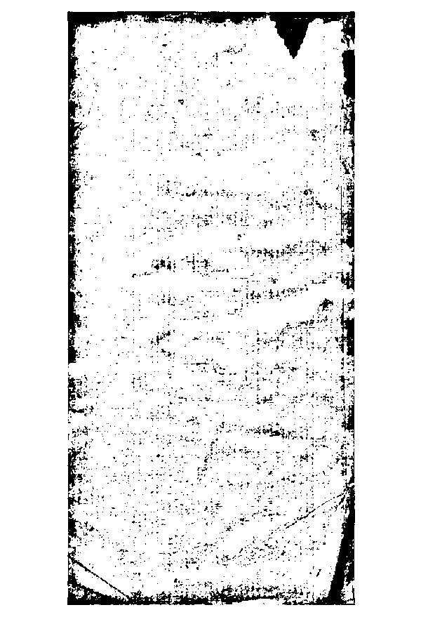 家谱第一张图片