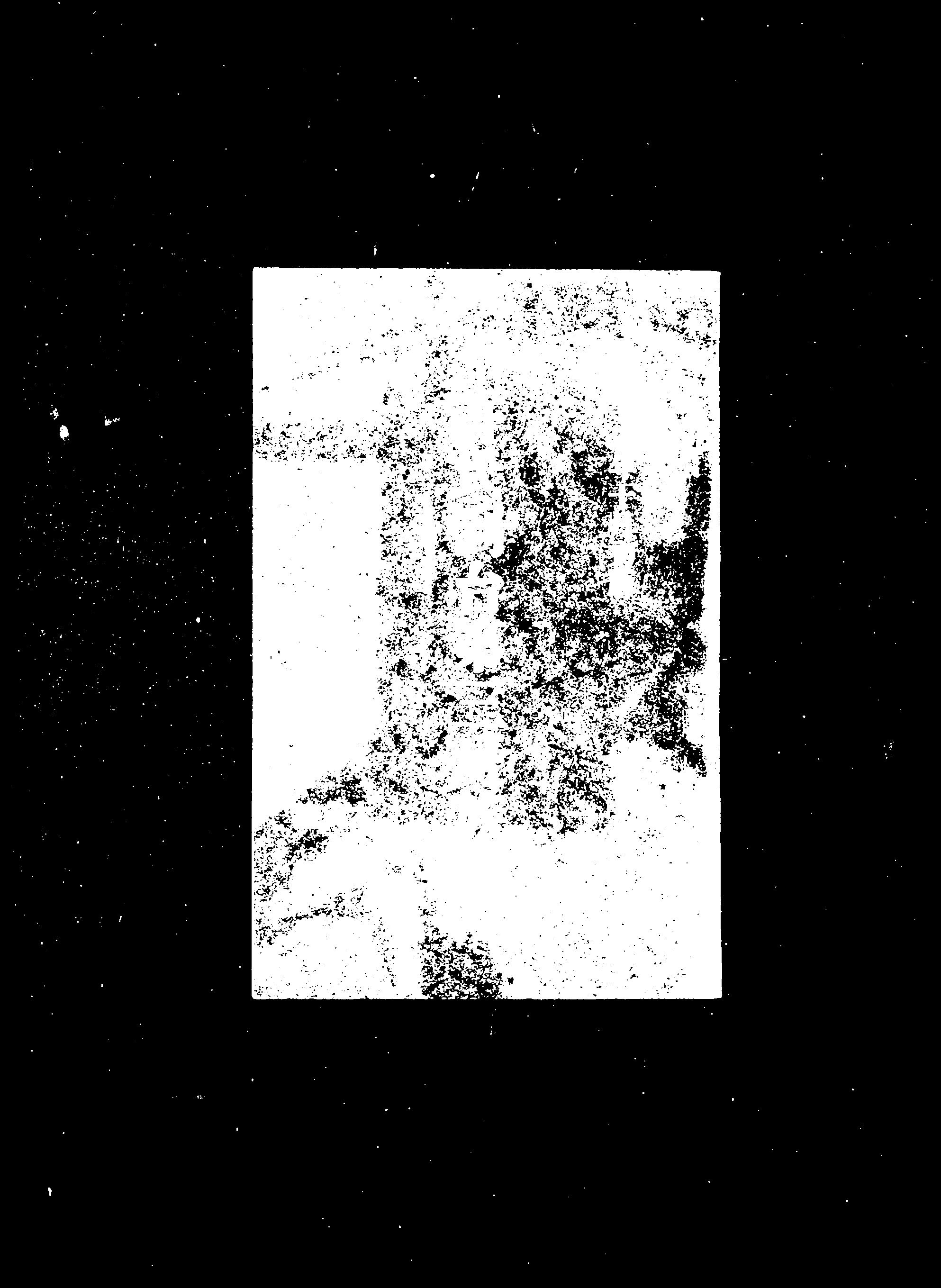 家谱第一张图片