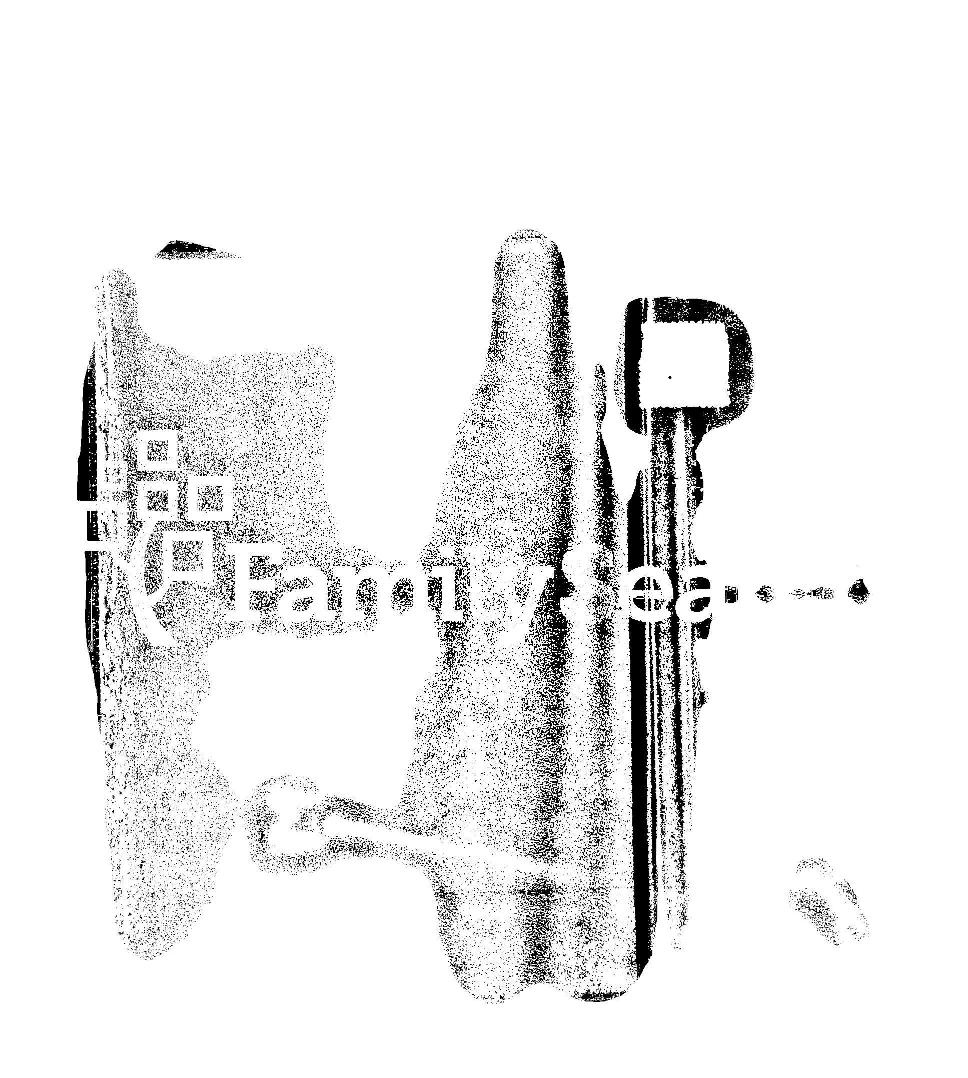 家谱第一张图片