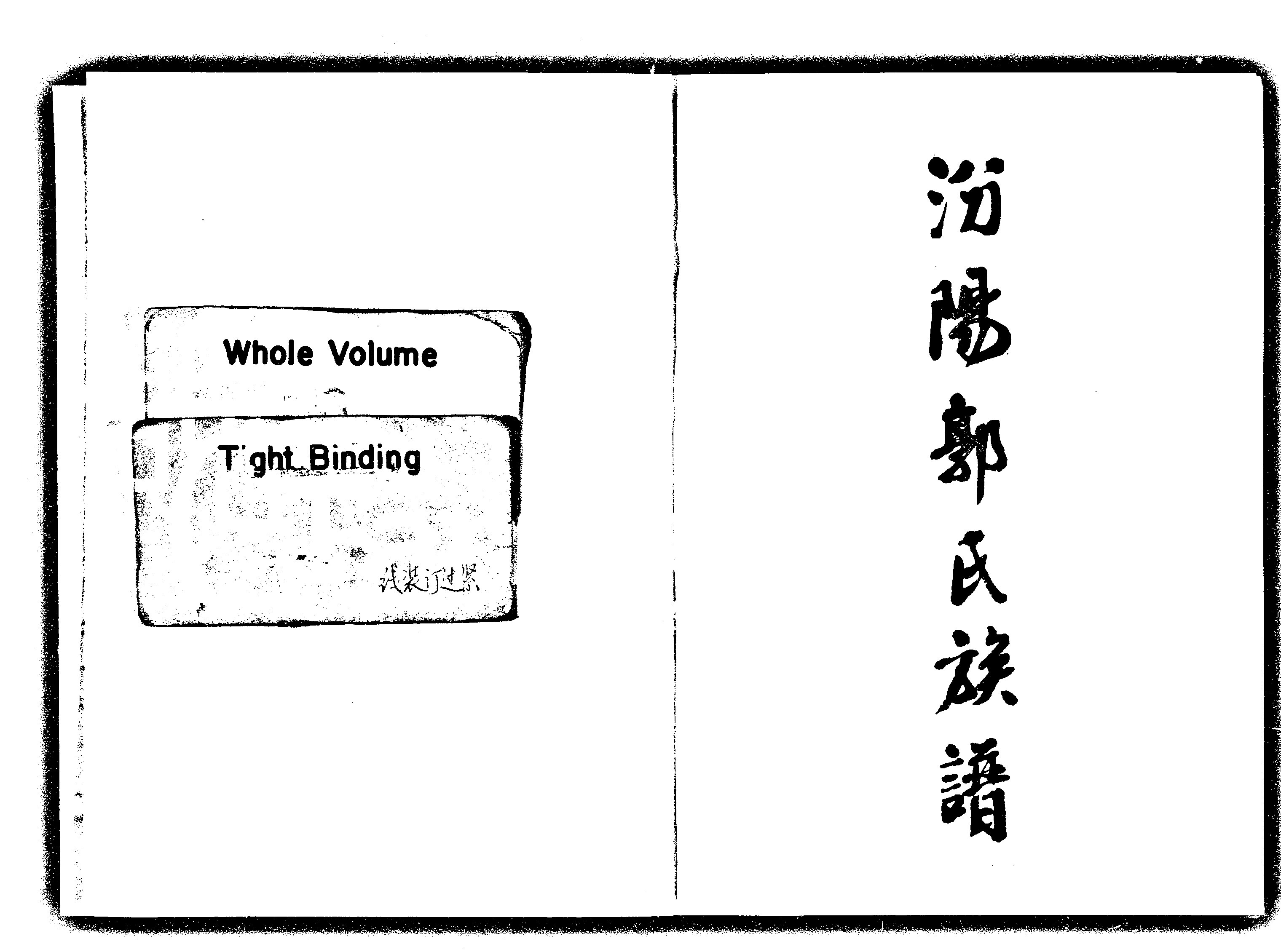 家谱第一张图片