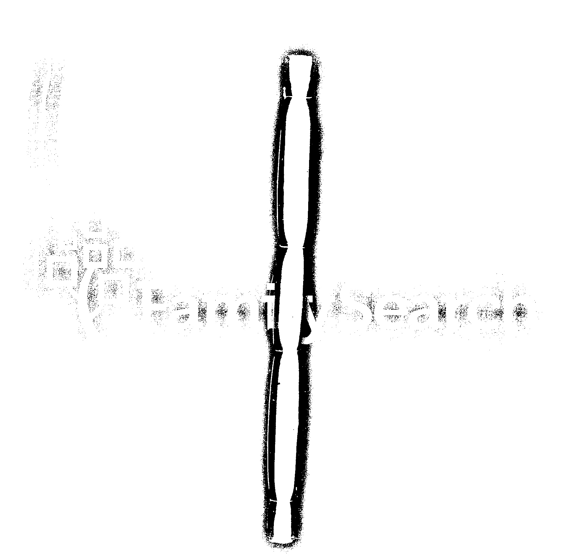 家谱第一张图片