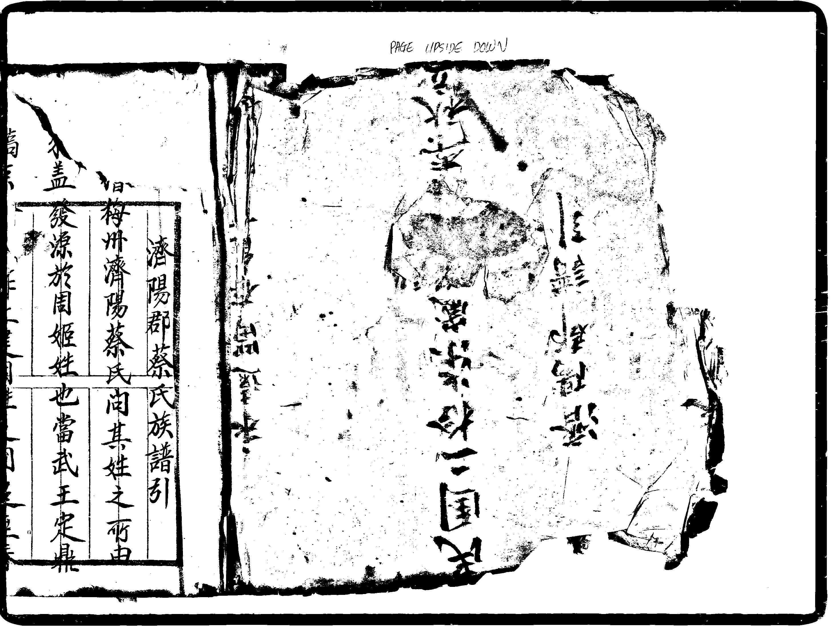 家谱第一张图片