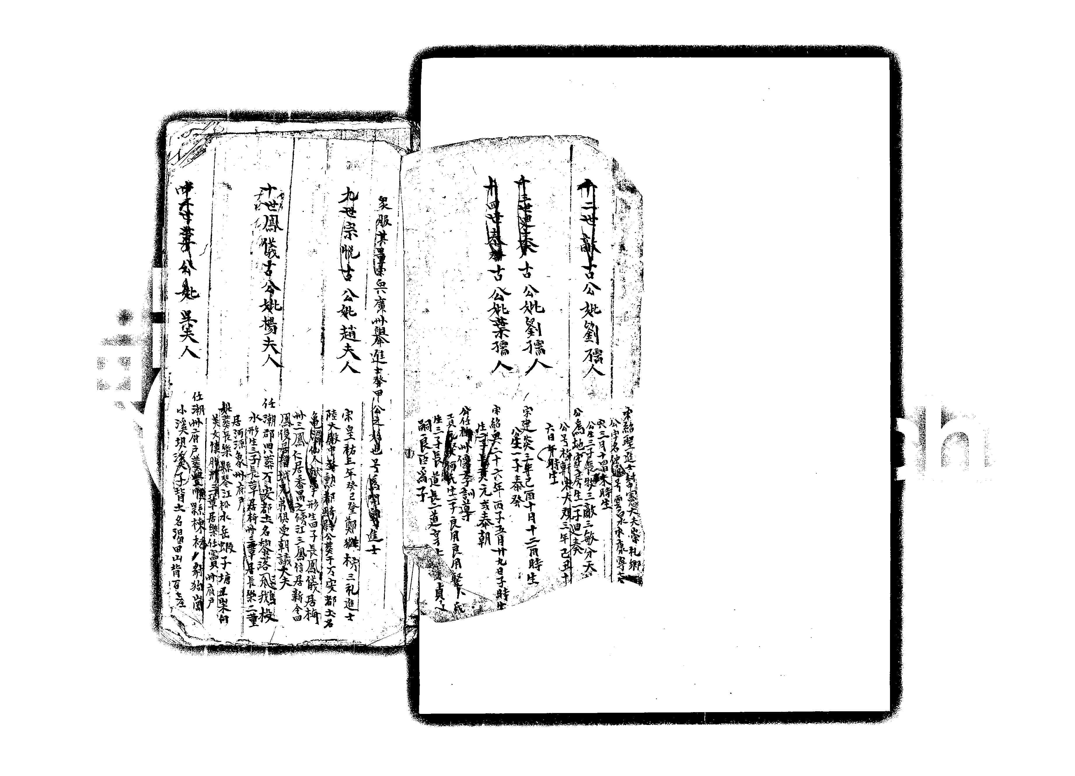 家谱第一张图片