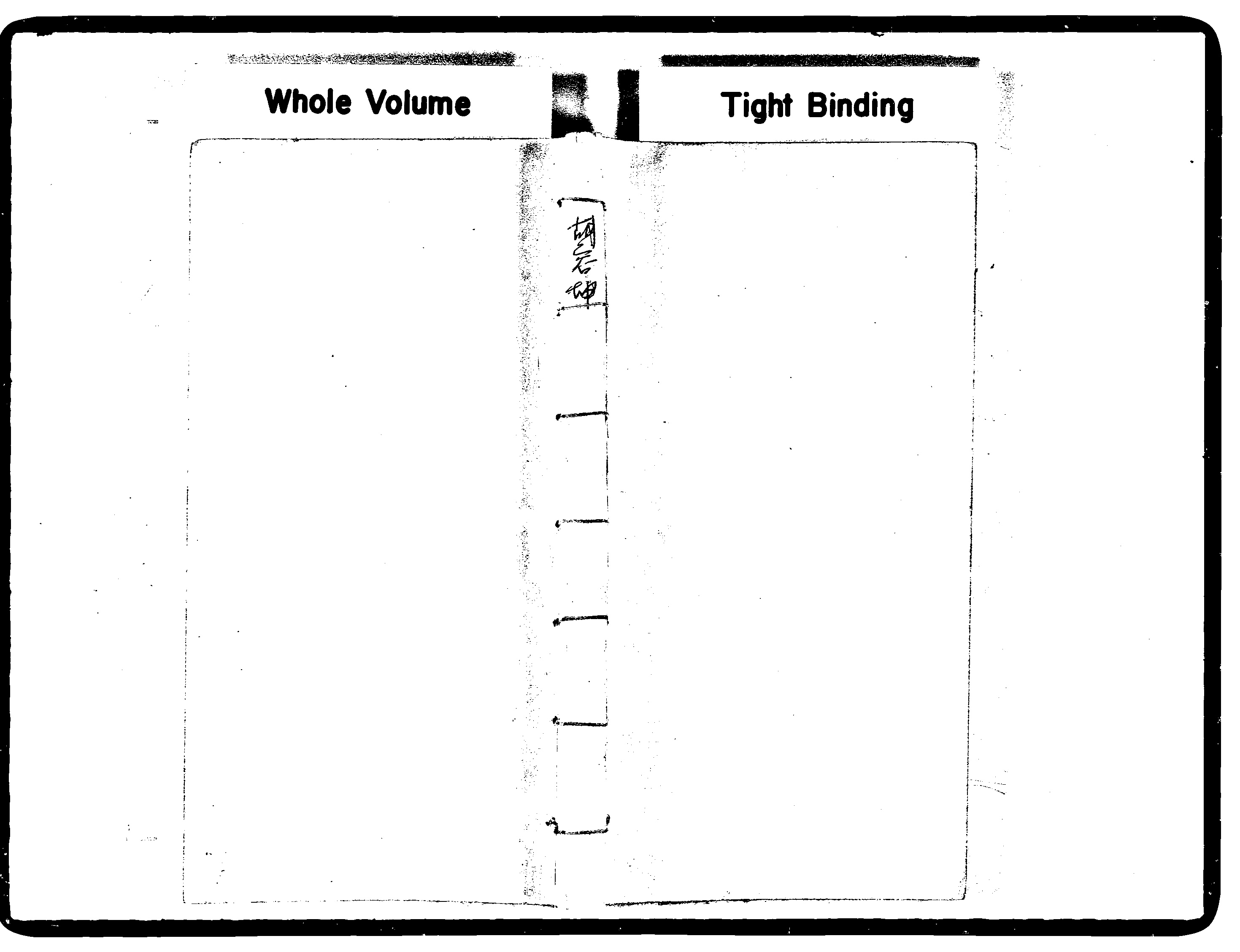 家谱第一张图片