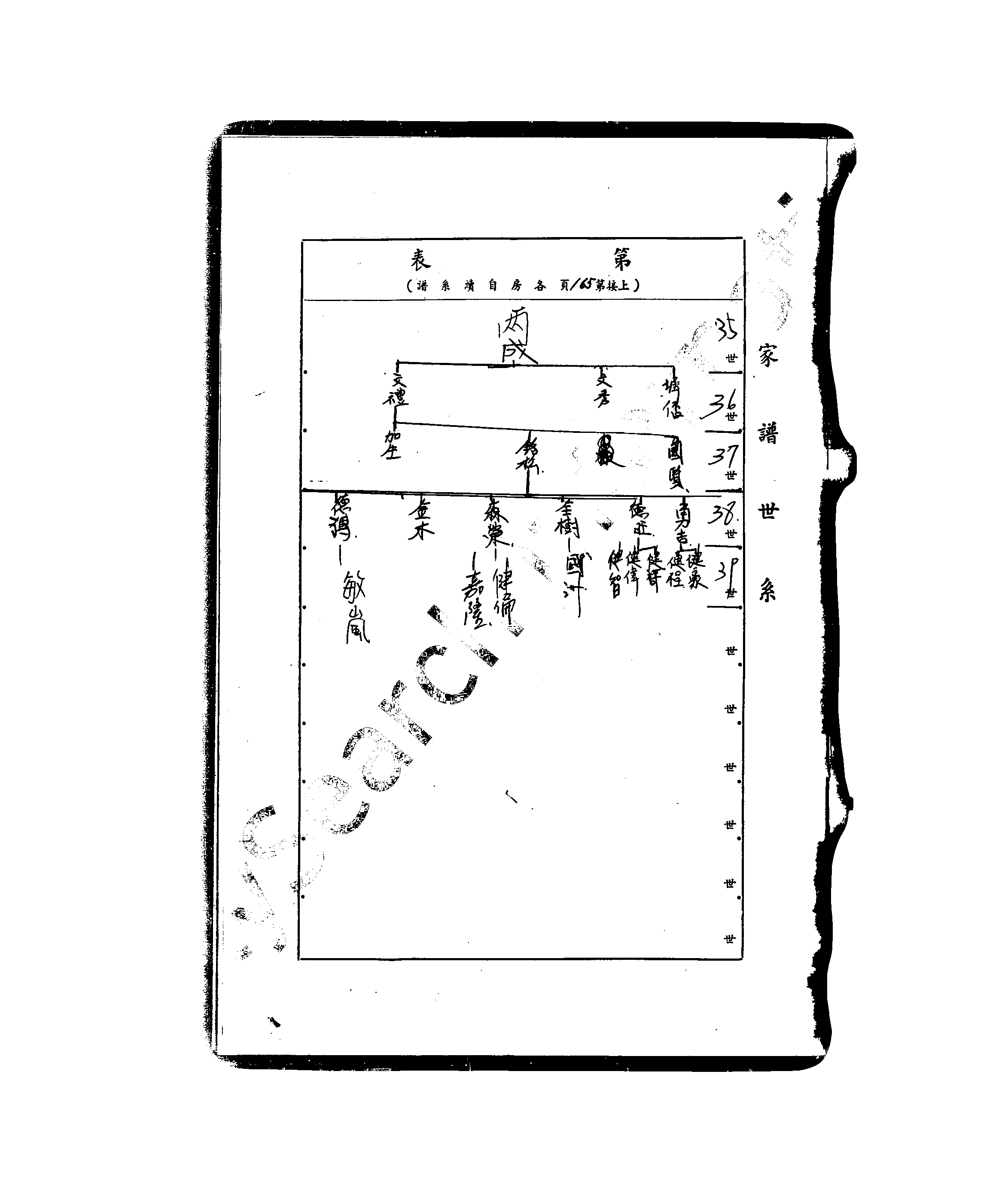 家谱第一张图片