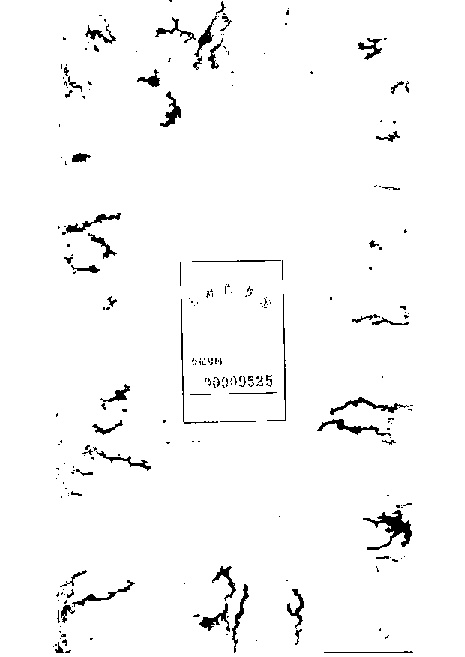 家谱第一张图片