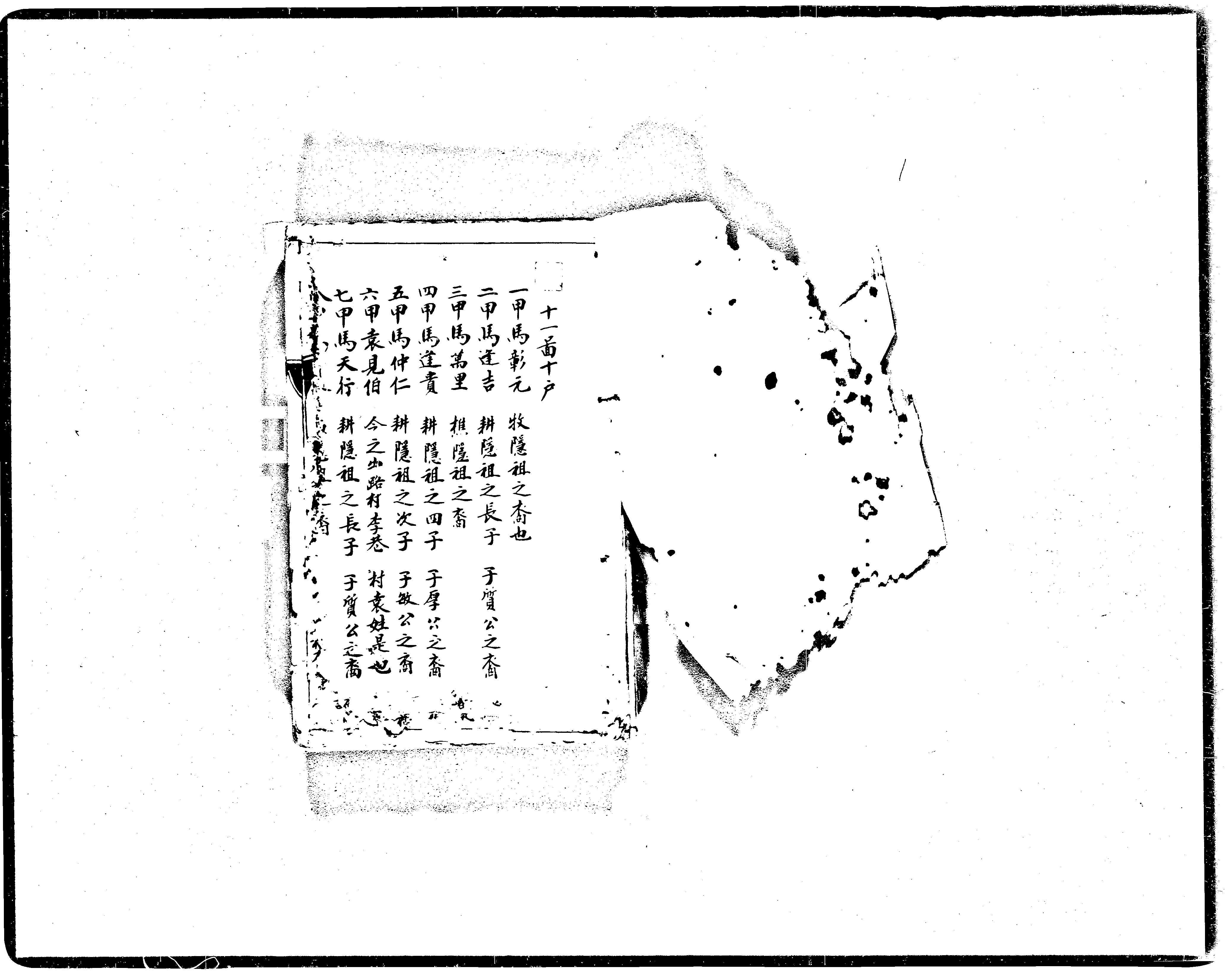 家谱第一张图片