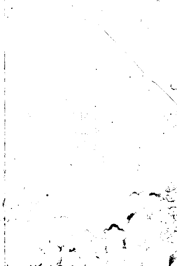 家谱第一张图片