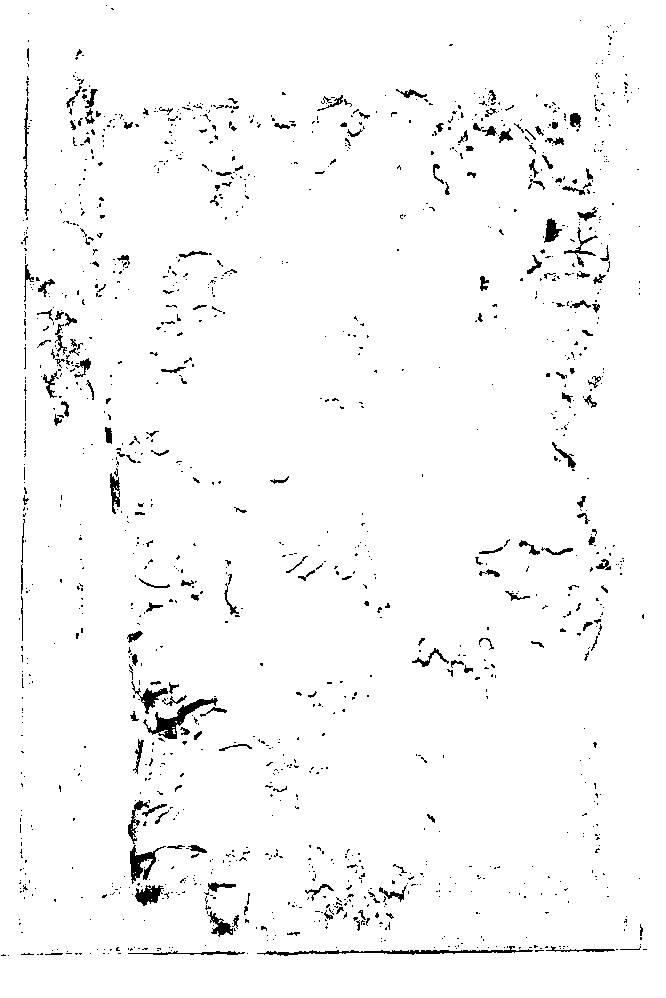 家谱第一张图片