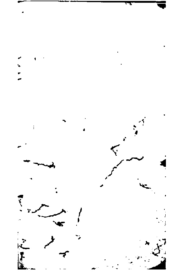 家谱第一张图片