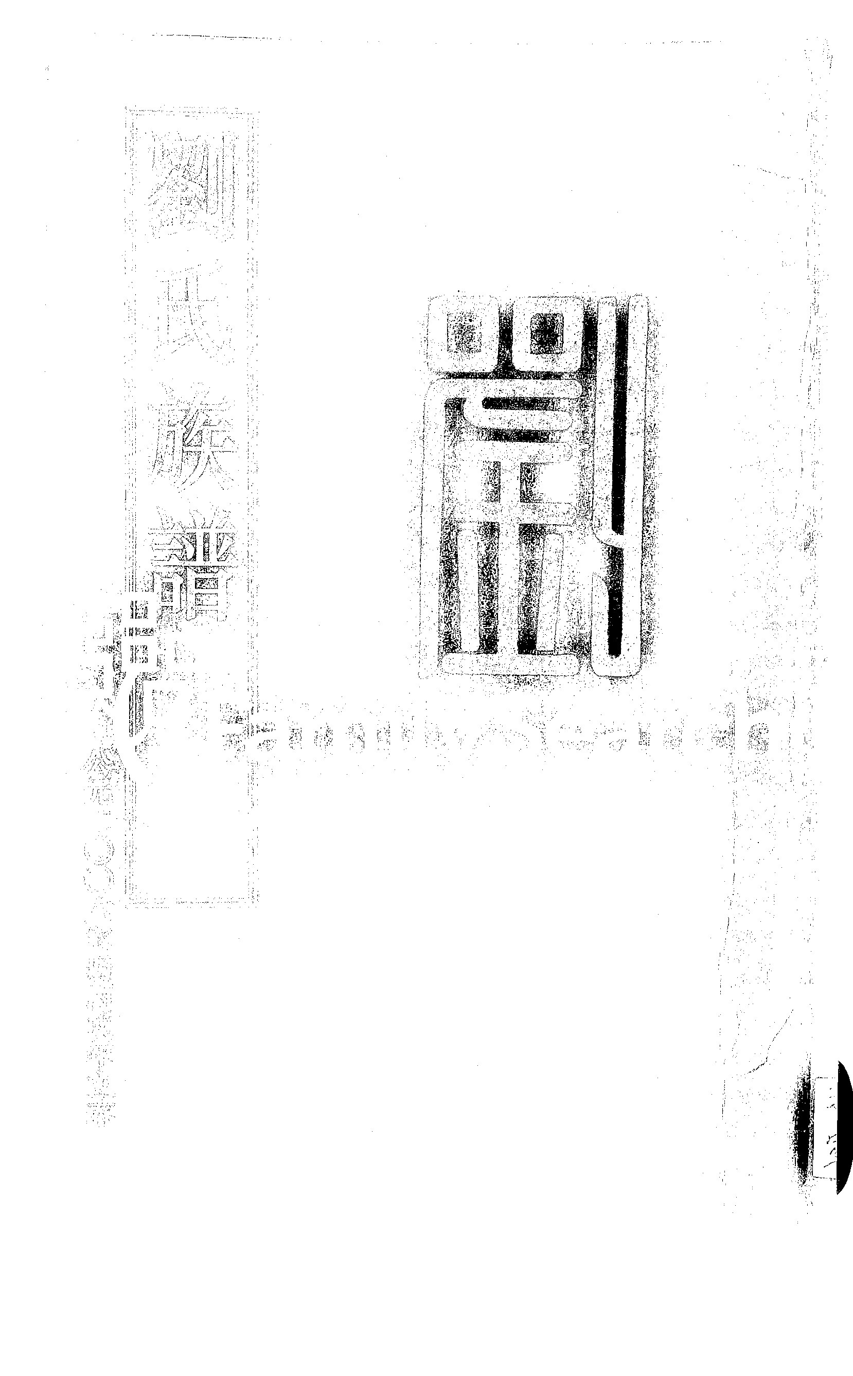 家谱第一张图片