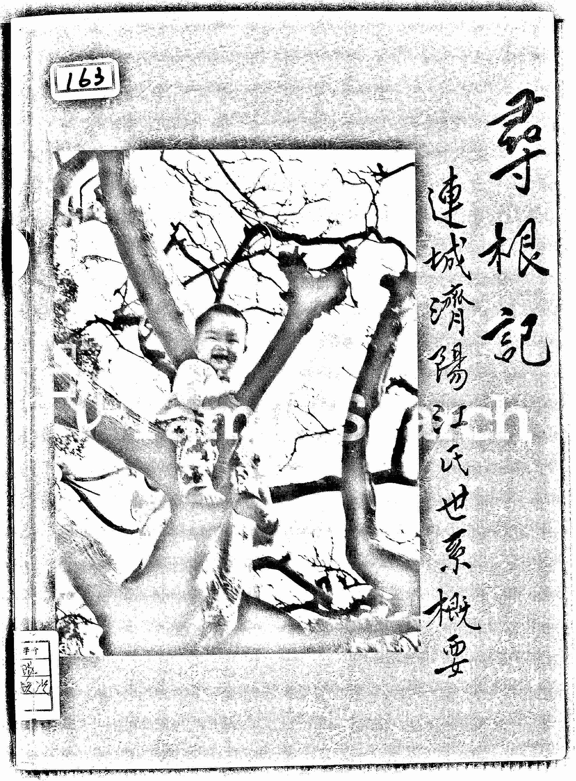 家谱第一张图片