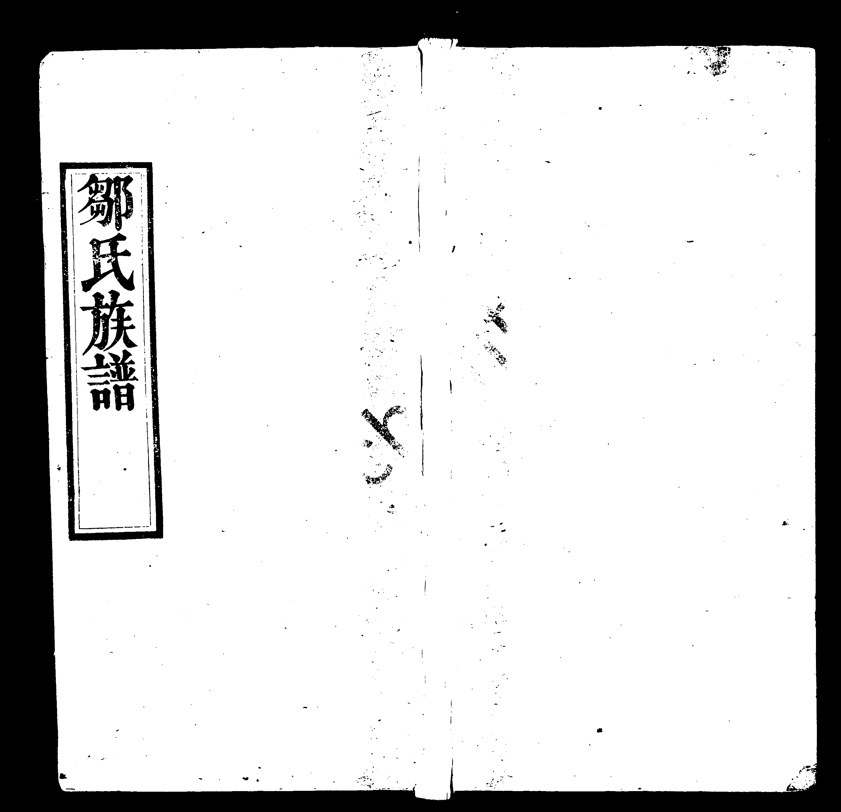 家谱第一张图片