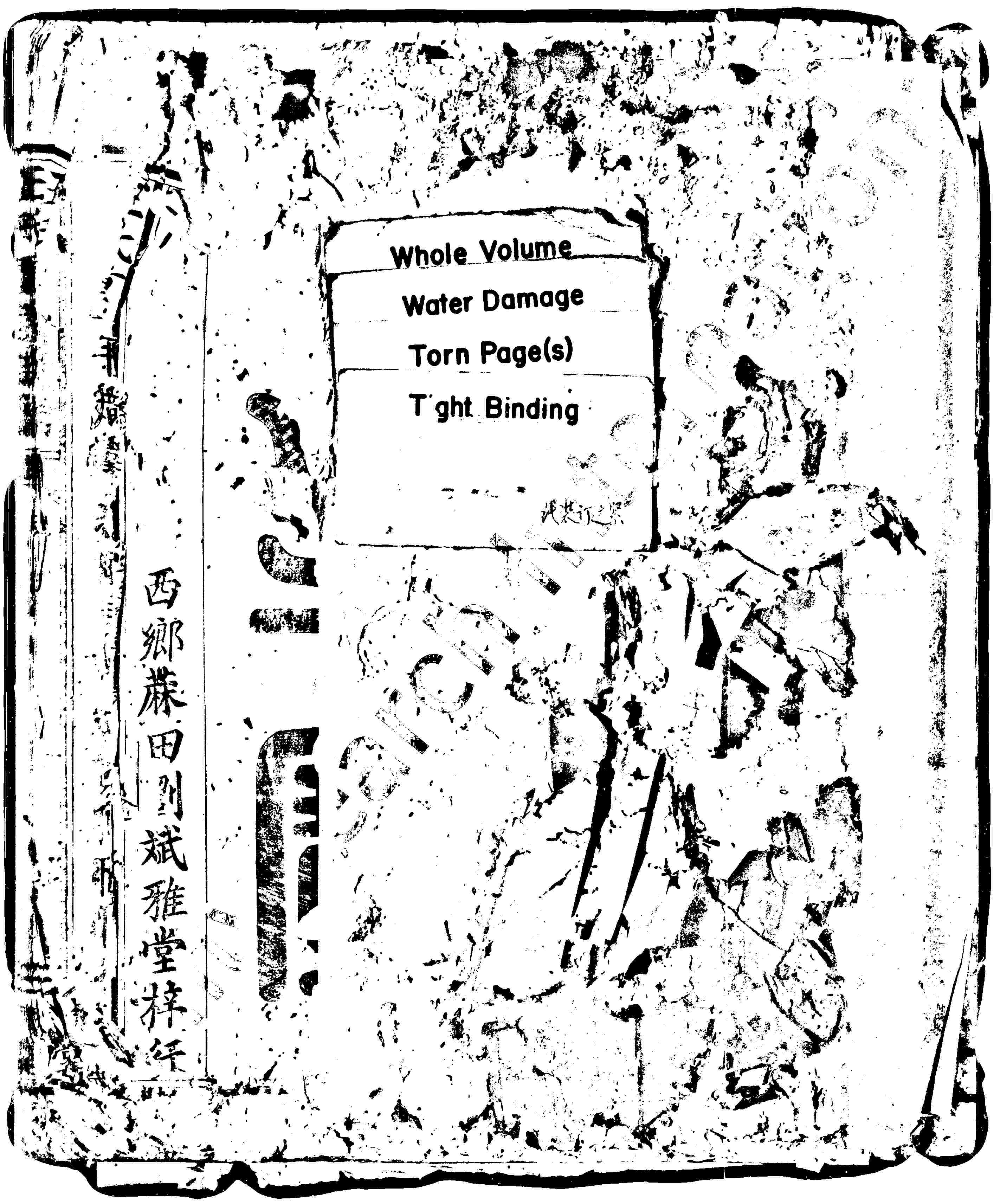 家谱第一张图片