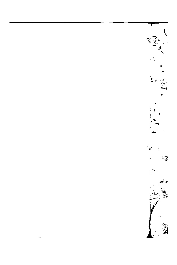 家谱第一张图片