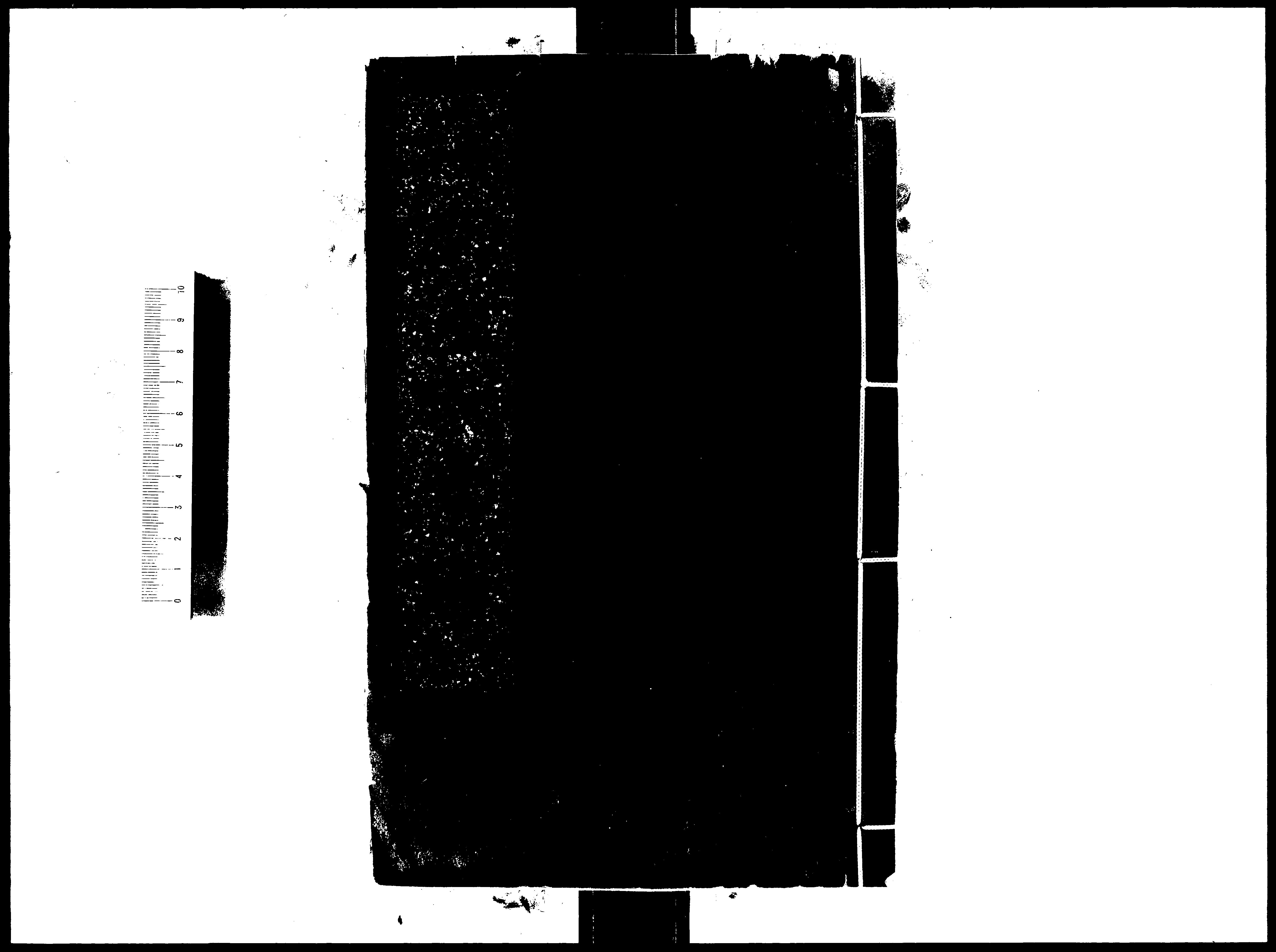 家谱第一张图片