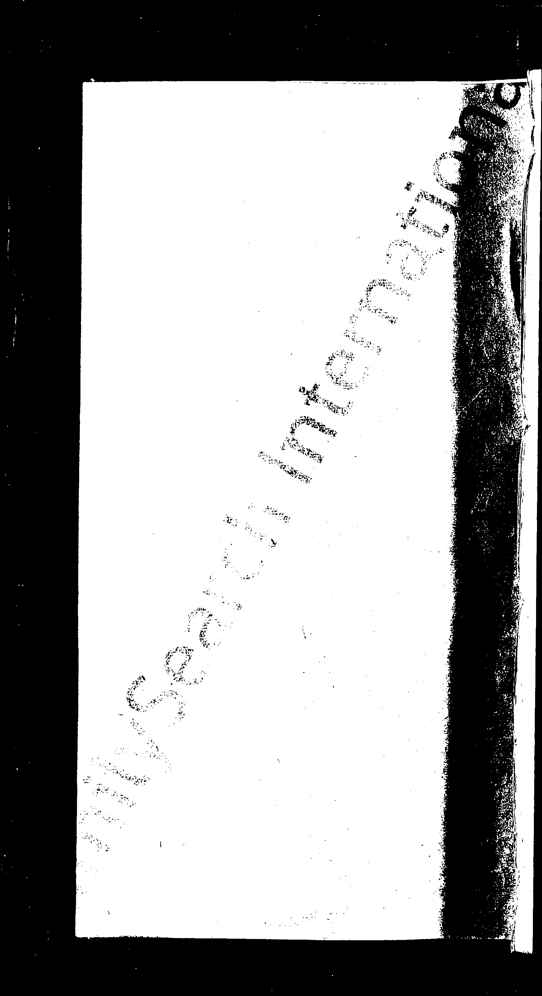 家谱第一张图片