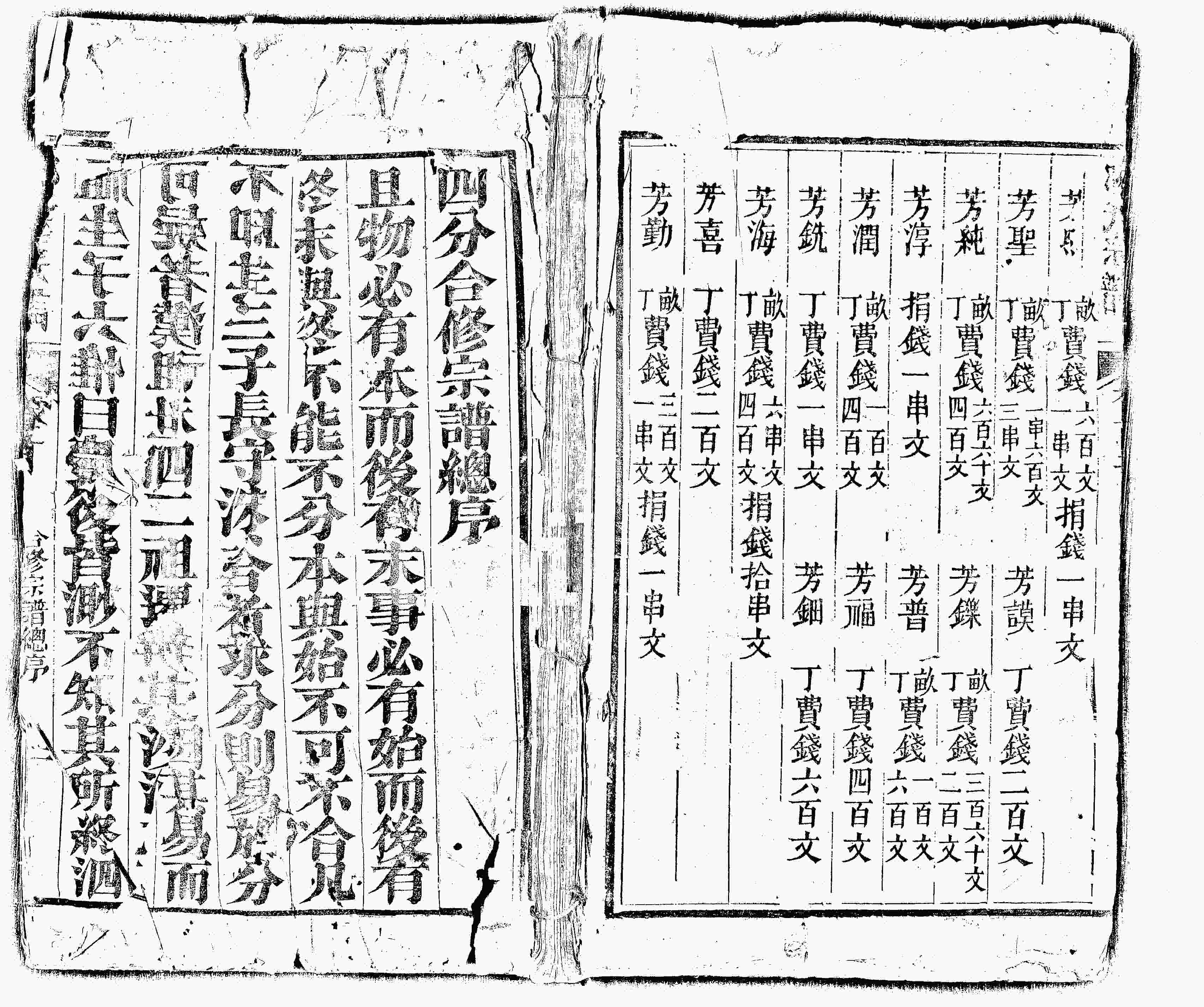 家谱第一张图片