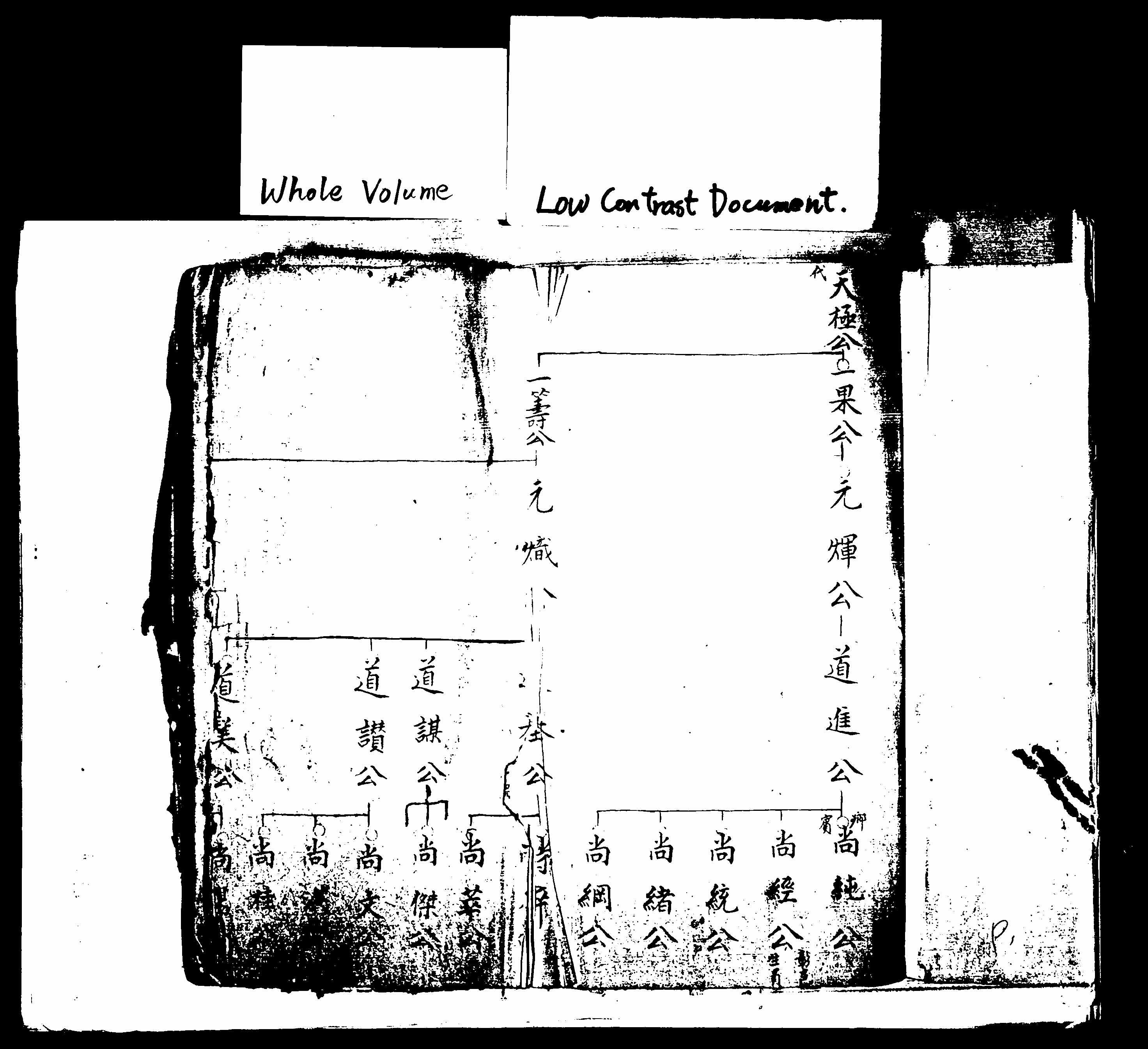 家谱第一张图片