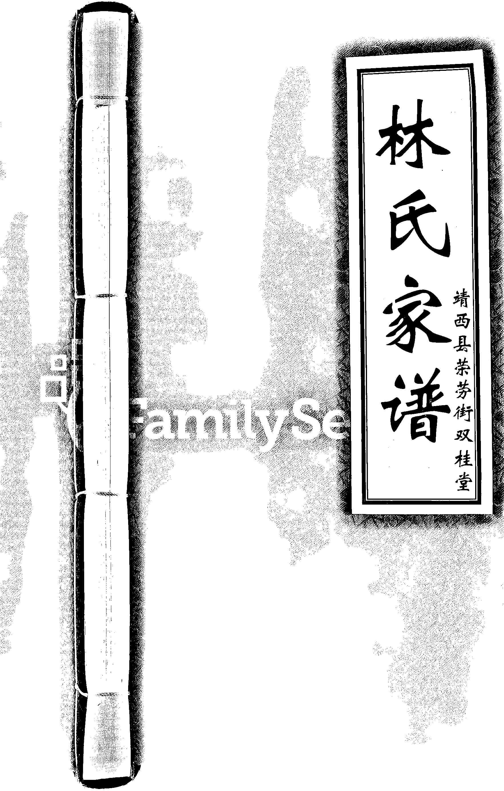 家谱第一张图片