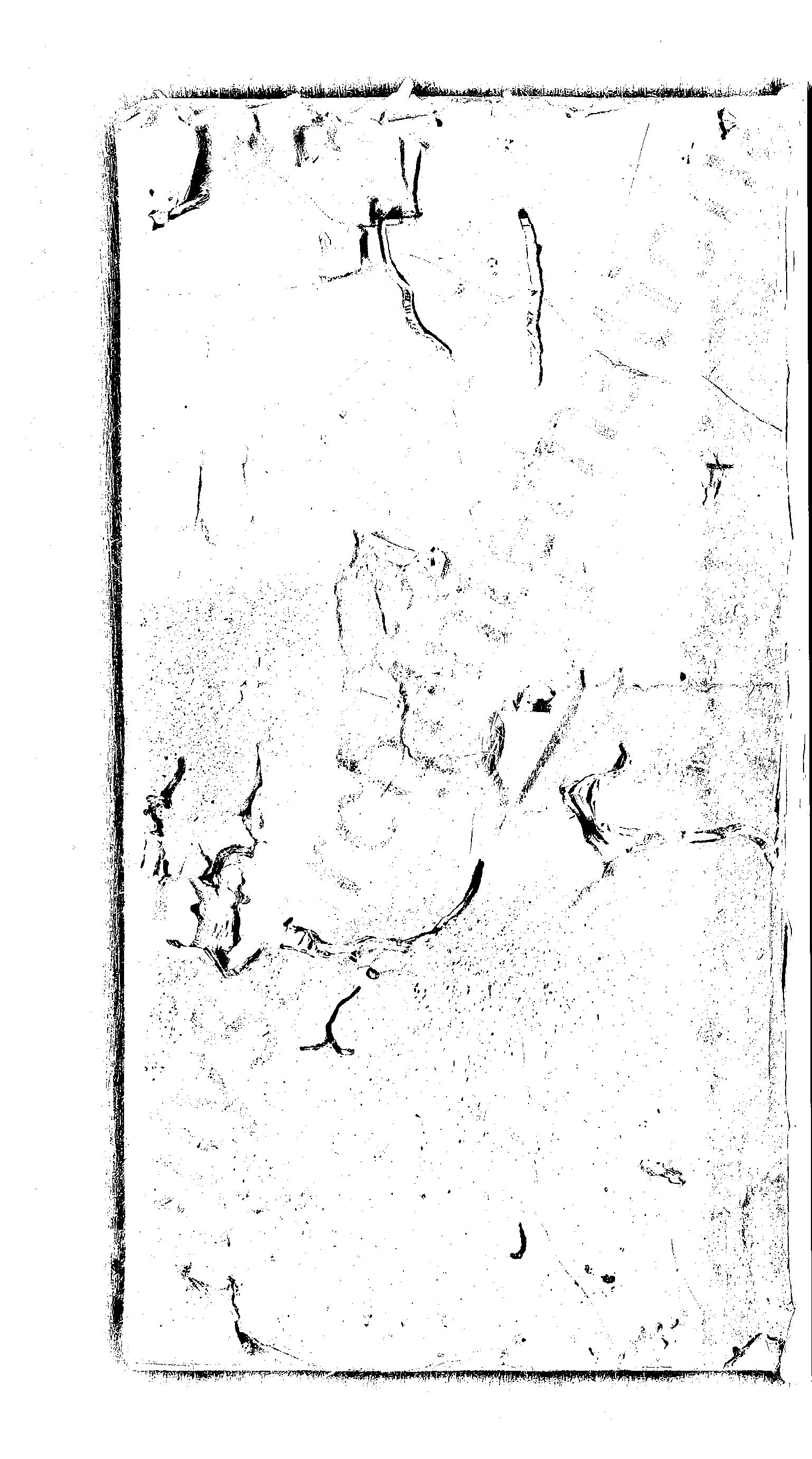 家谱第一张图片