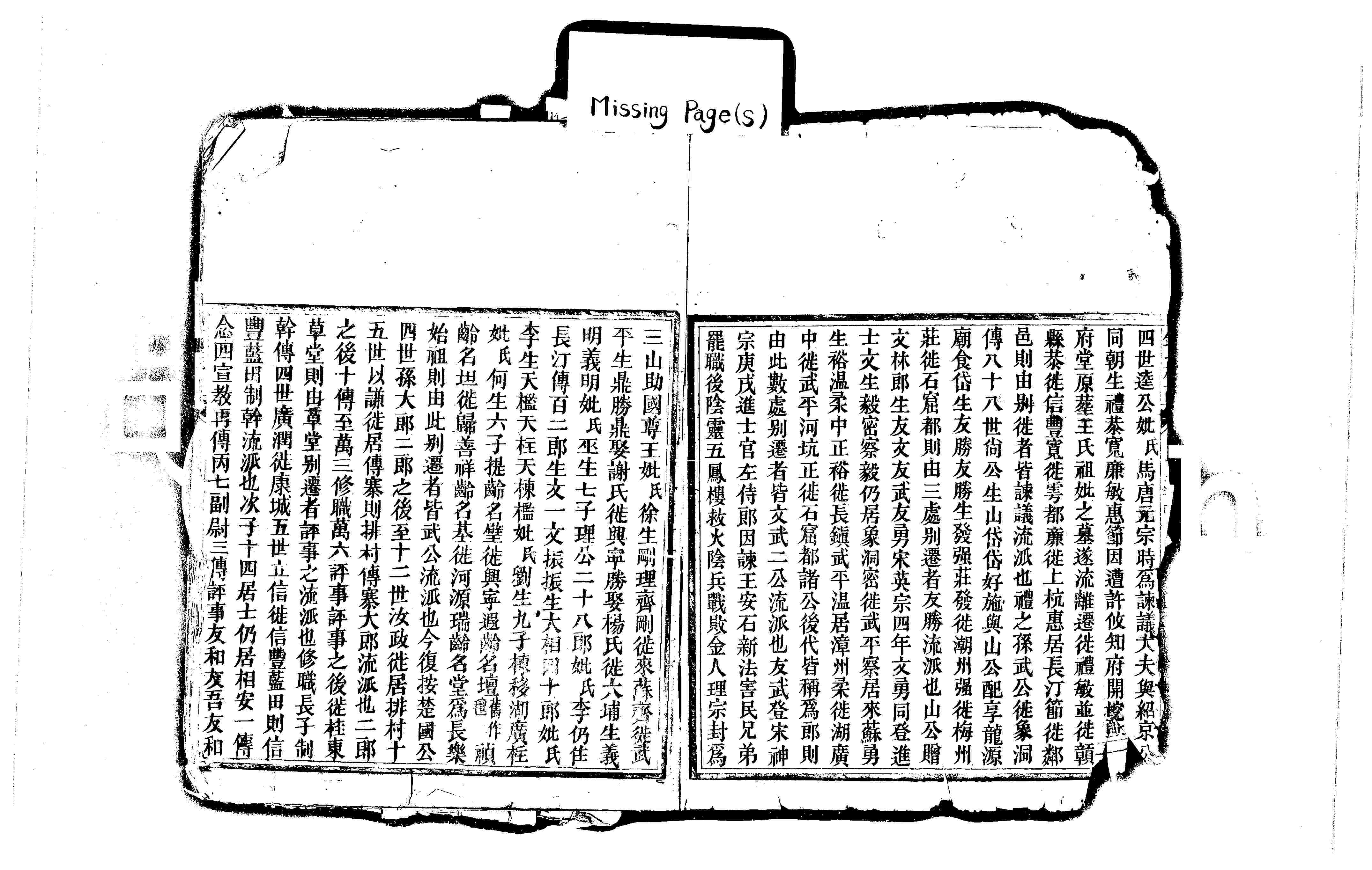 家谱第一张图片