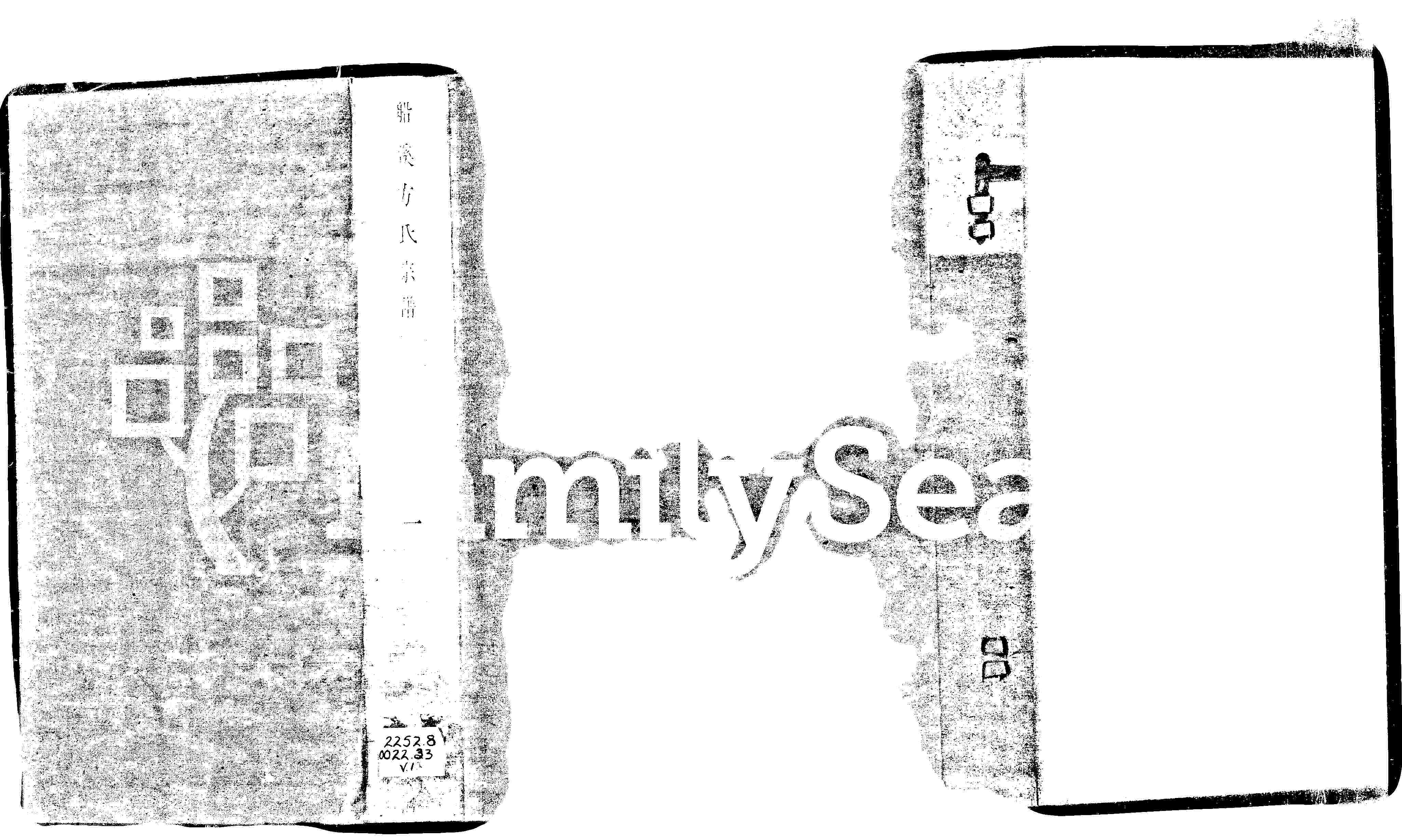 家谱第一张图片