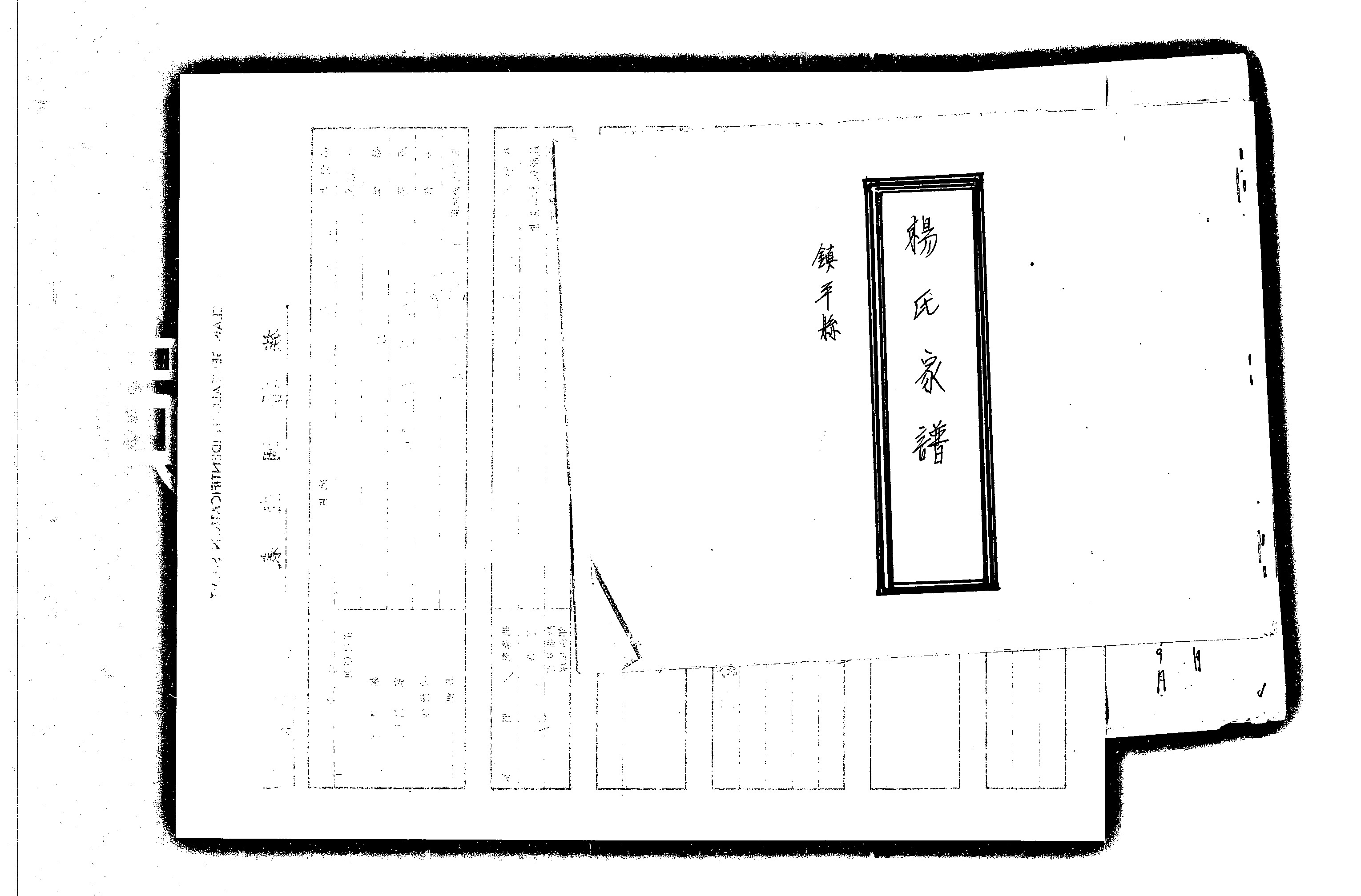 家谱第一张图片