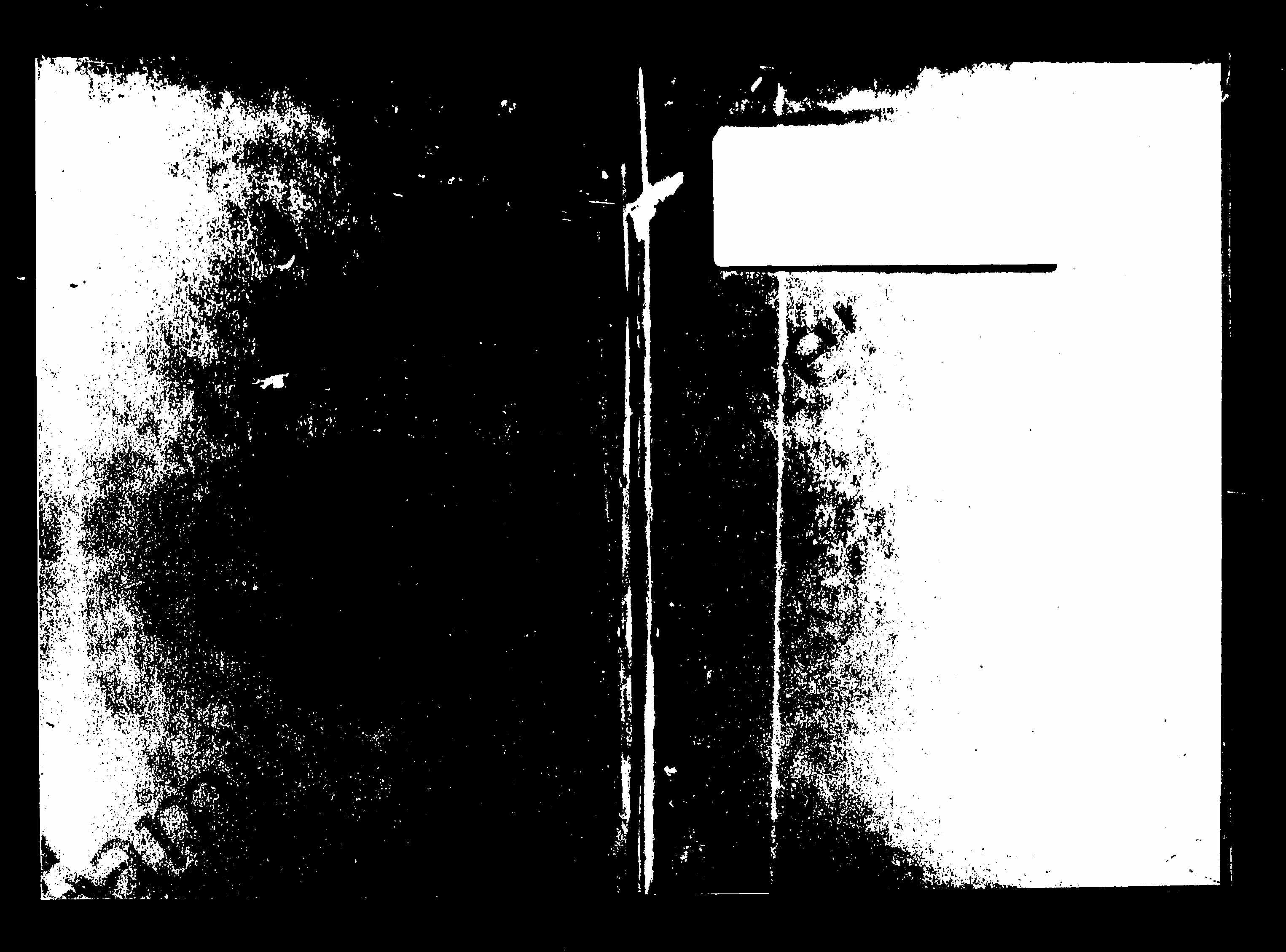 家谱第一张图片