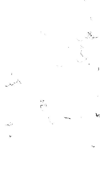 家谱第一张图片