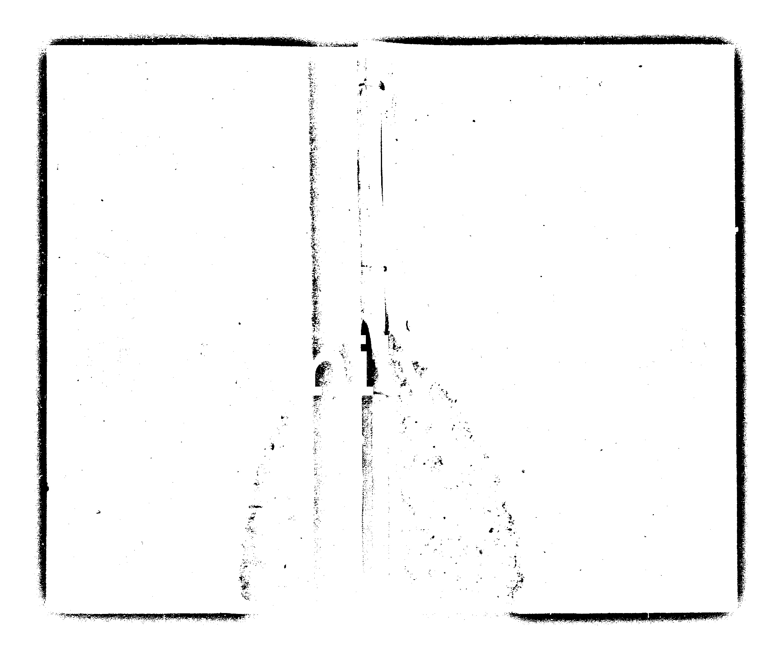 家谱第一张图片