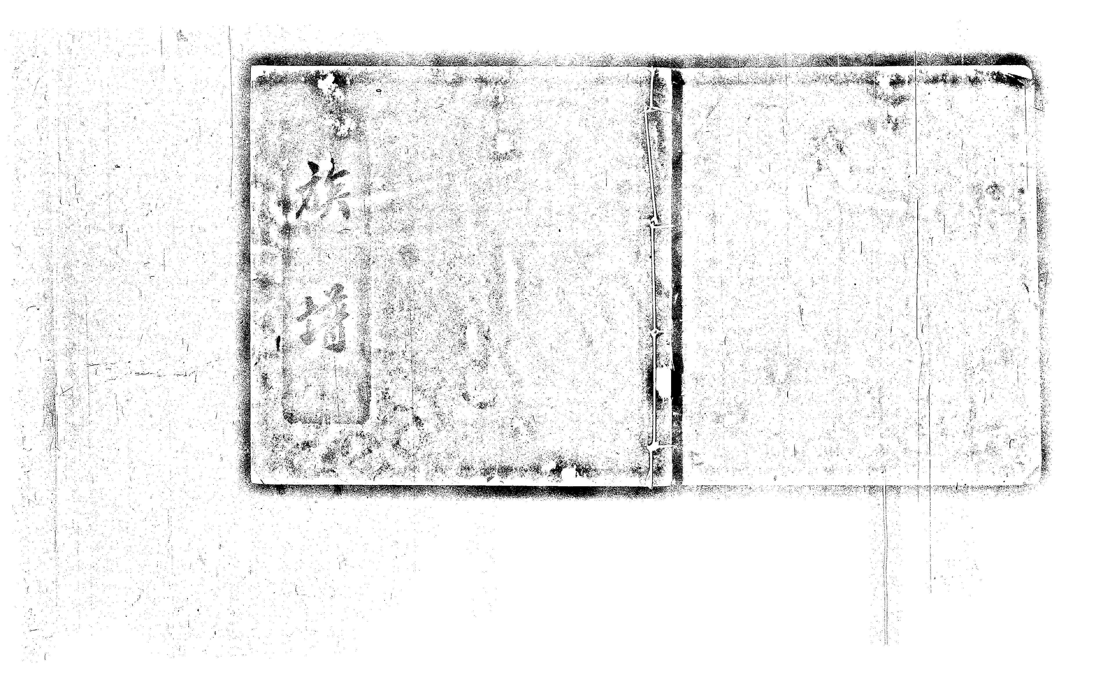 家谱第一张图片
