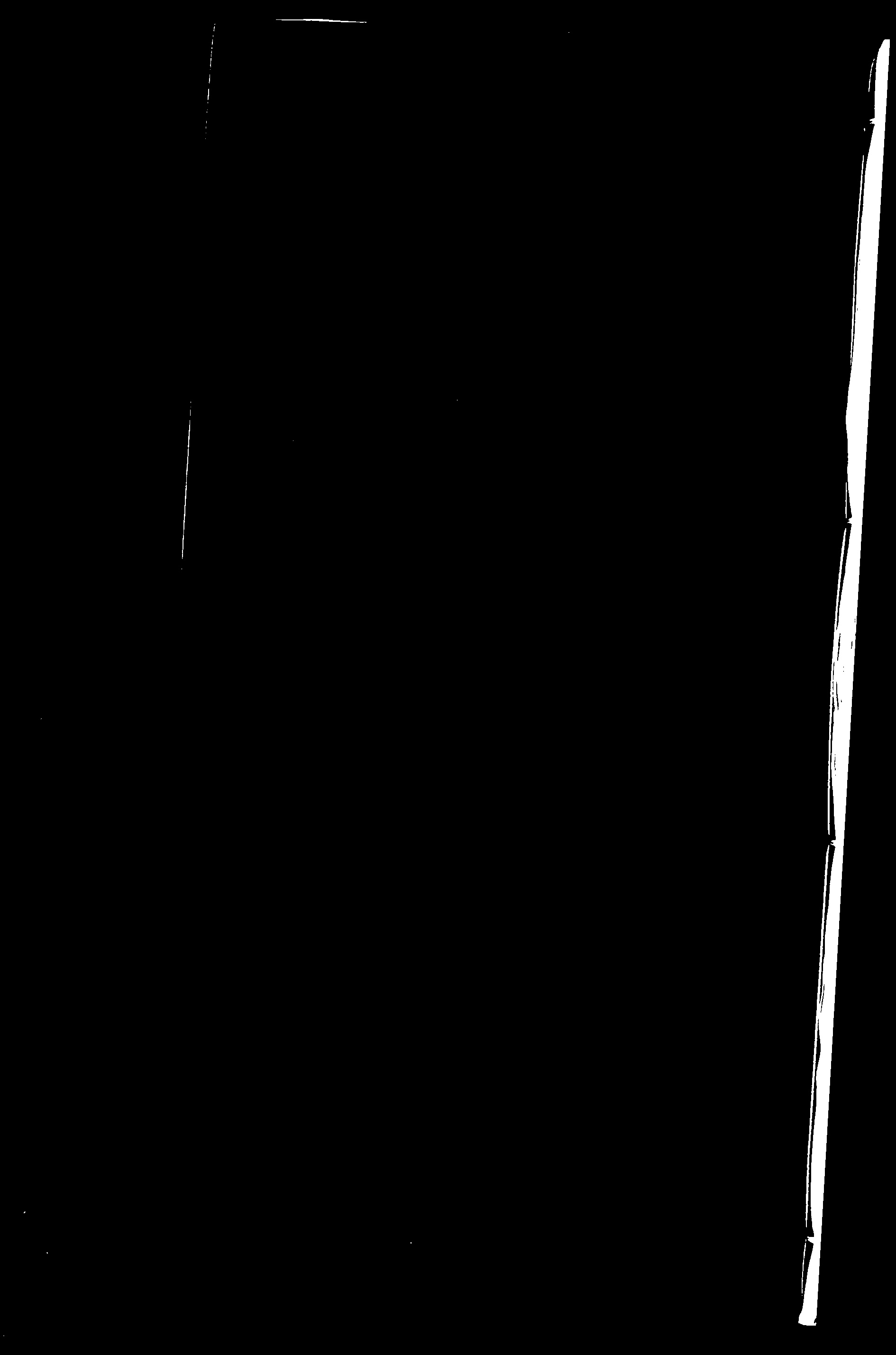 家谱第一张图片