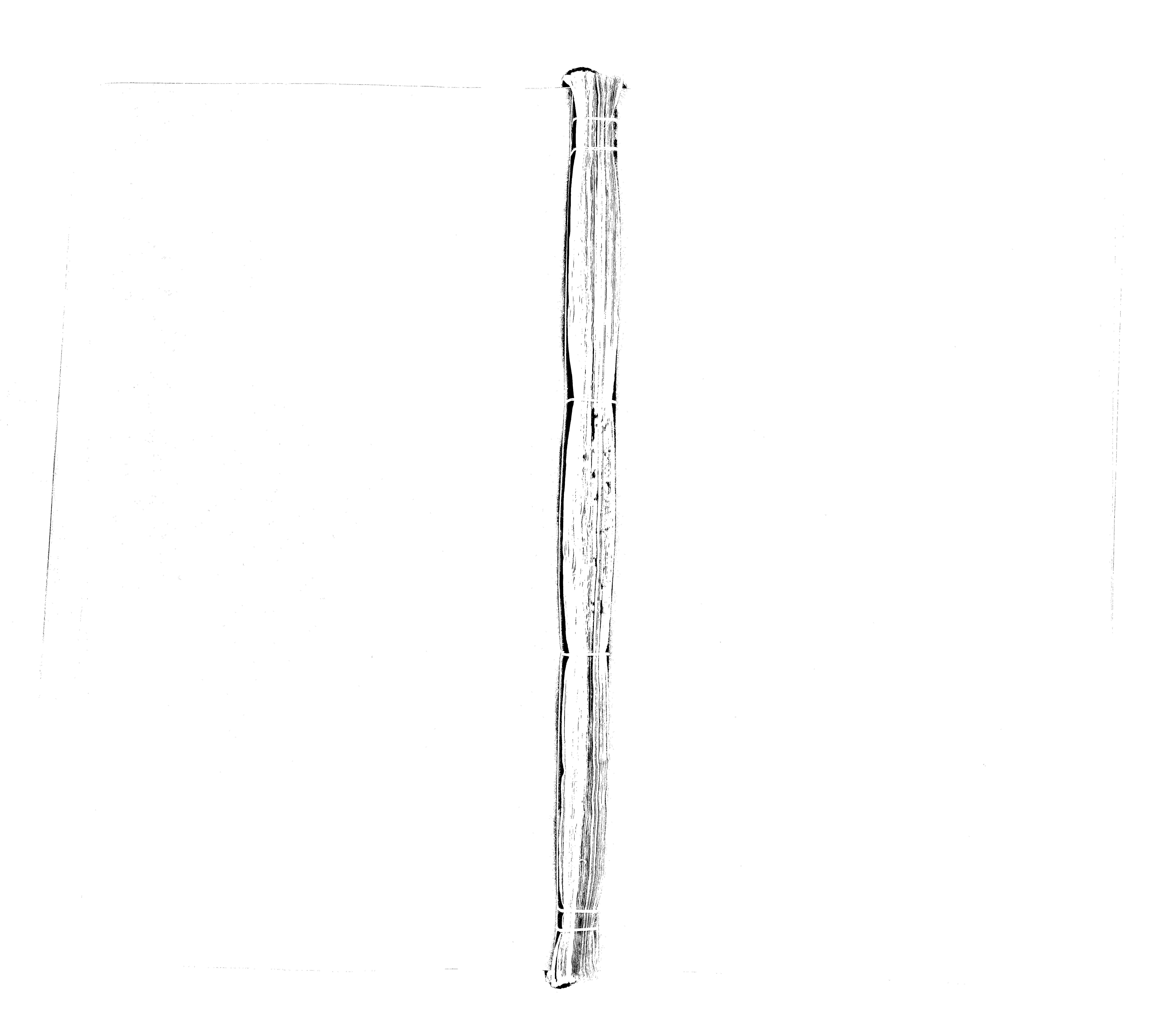 家谱第一张图片