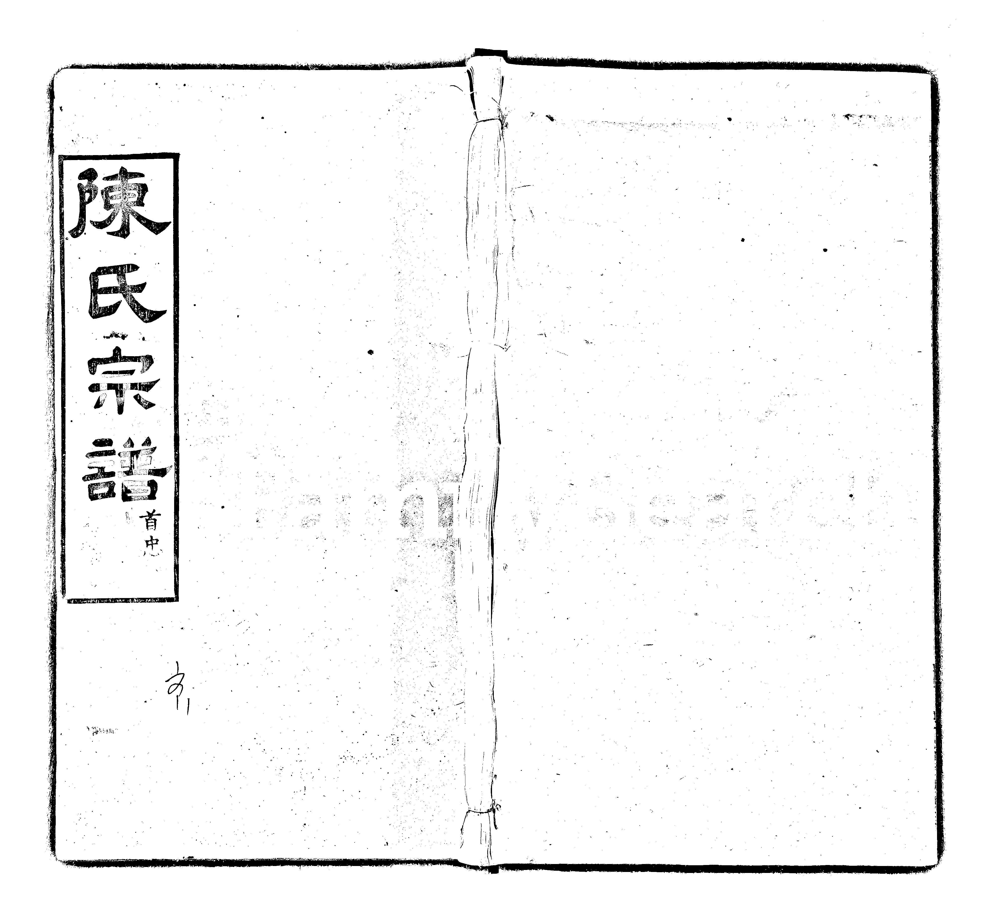 家谱第一张图片